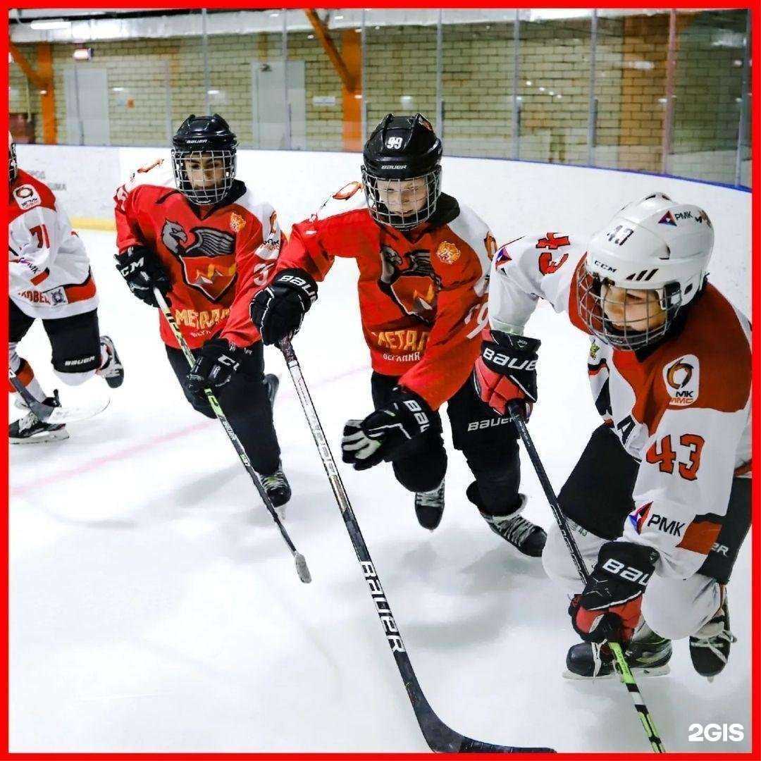 Отзывы на компанию Спортивная школа им. Александра Козицына в г. Верхняя Пышма c фото