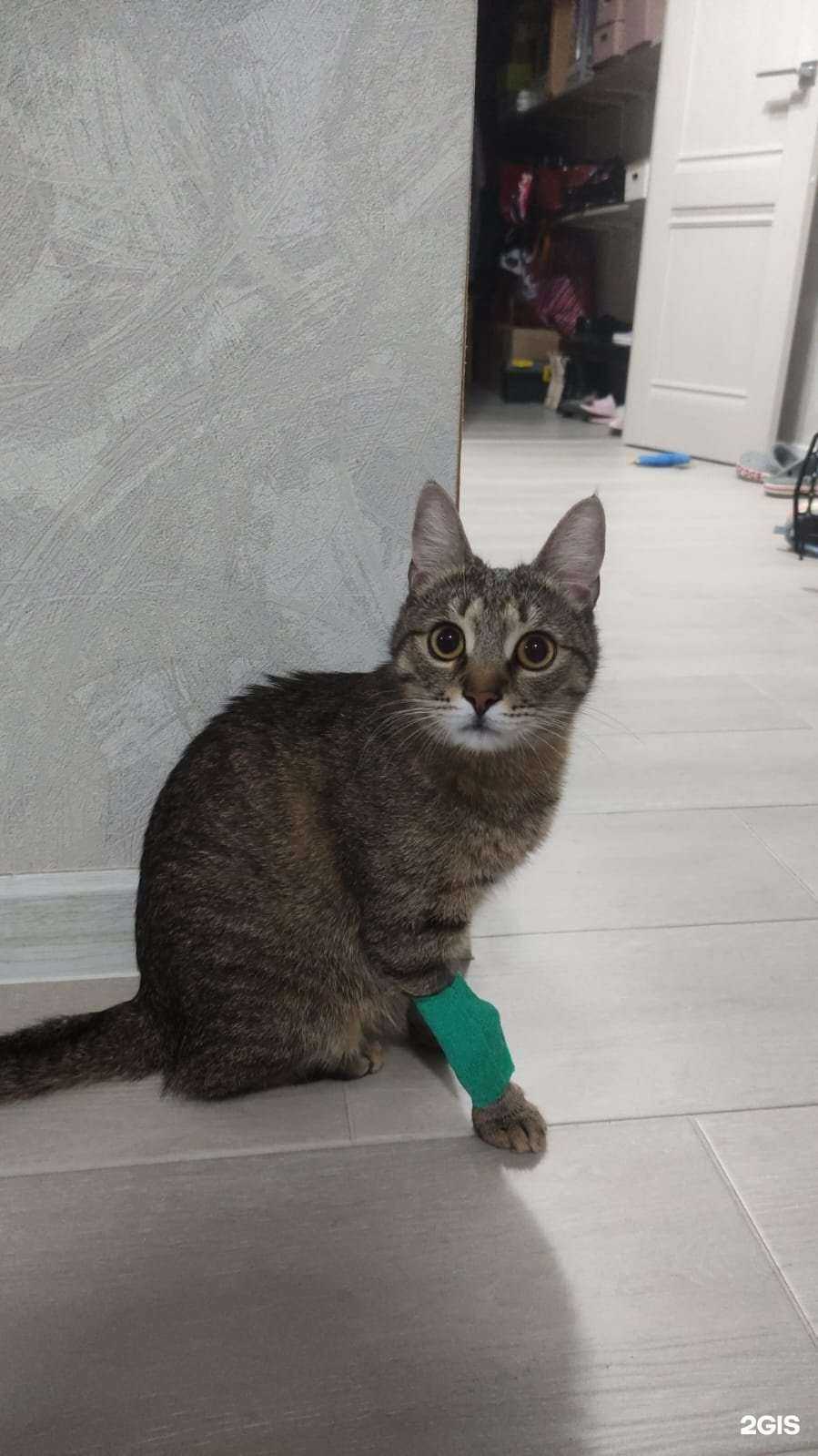 Отзывы на компанию Слон в г. Краснодар c фото