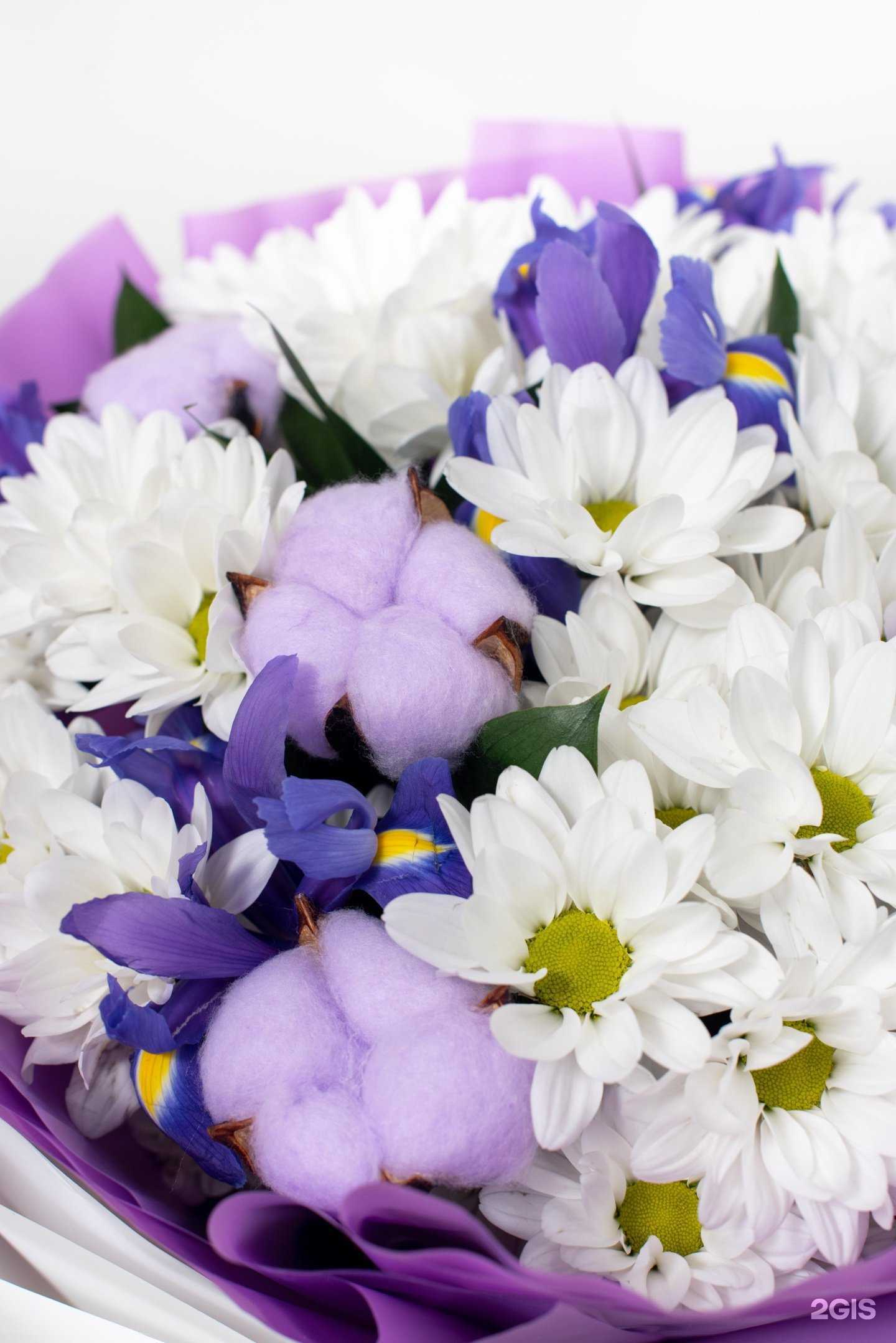 Отзывы на компанию Дом цветков в г. Камень-на-Оби c фото