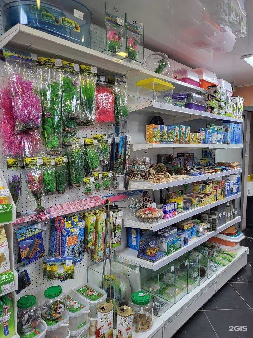 Отзывы на компанию Зоомаркет в г. Кыштым c фото