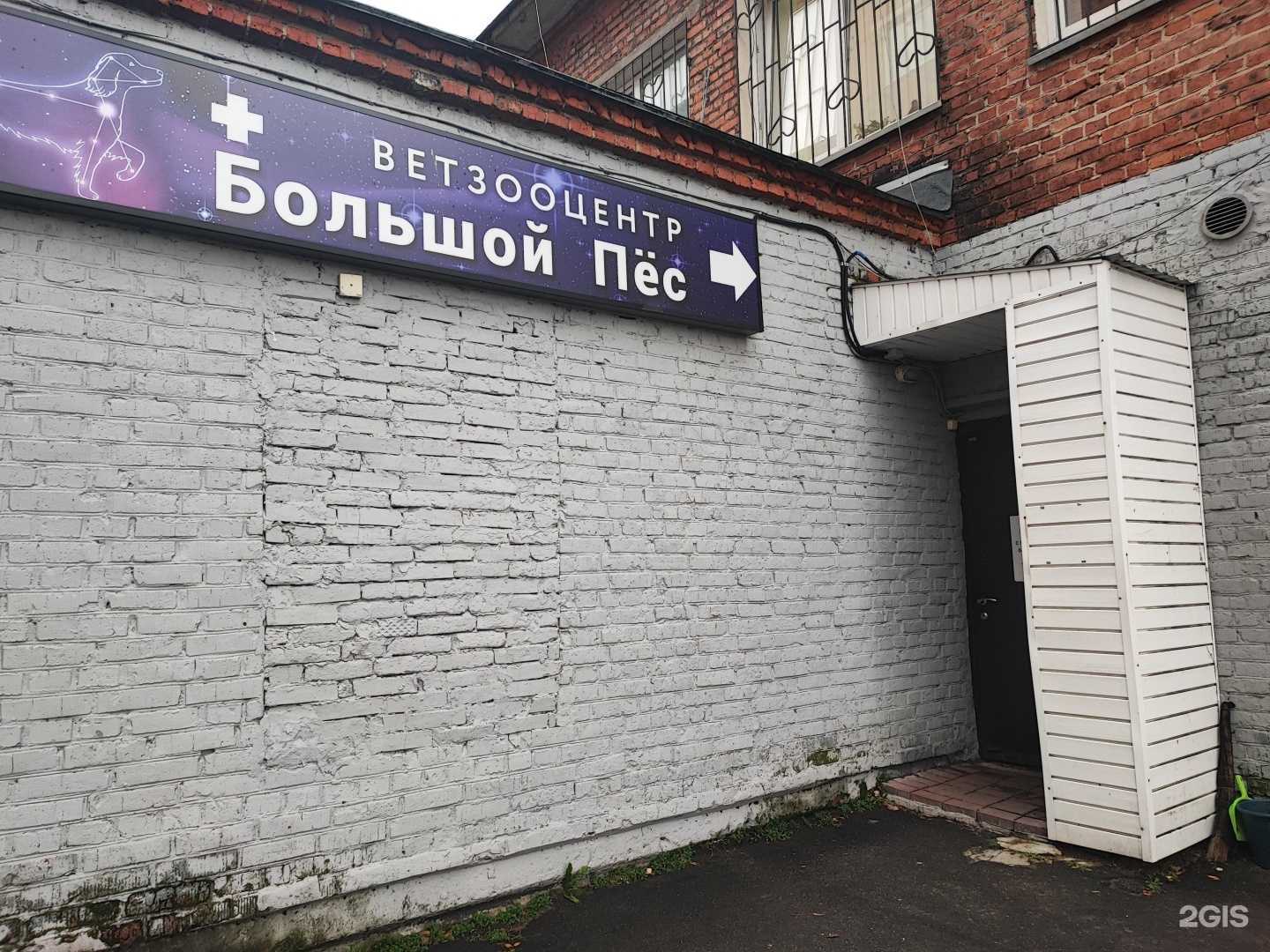 Отзывы на компанию Большой Пёс в г. Ступино c фото