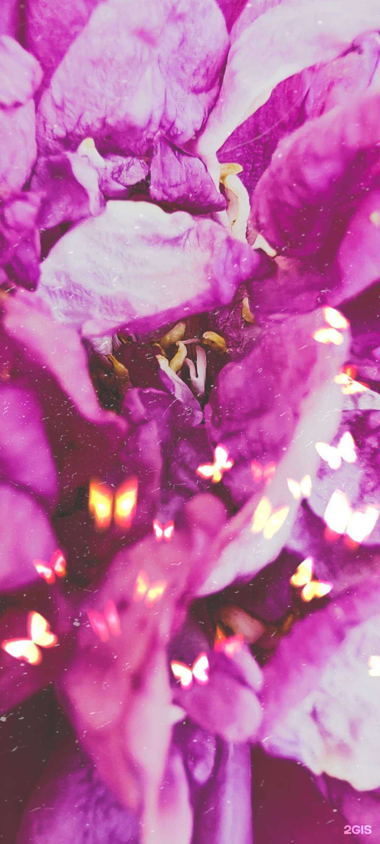 Отзывы на компанию Кабинет ароматерапевта, кинезиолога в Владивостоке c фото