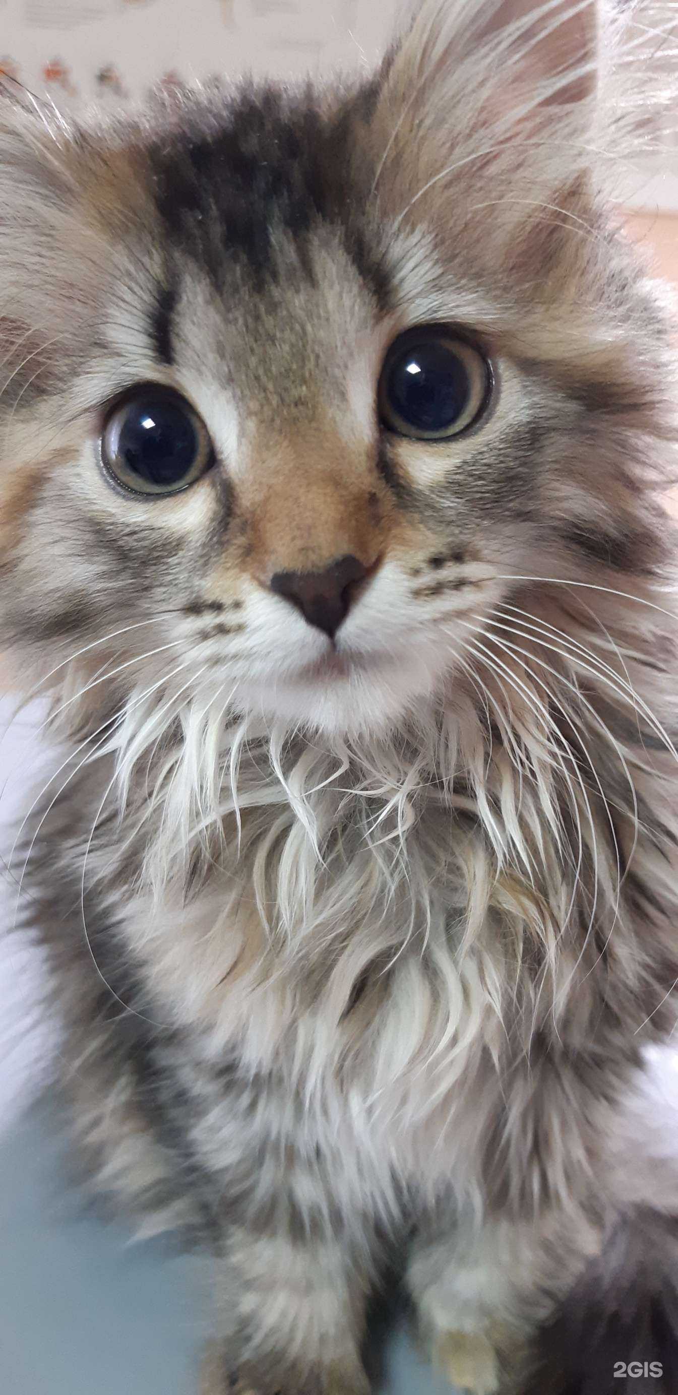 Отзывы на компанию Бионика в г. Магнитогорск c фото