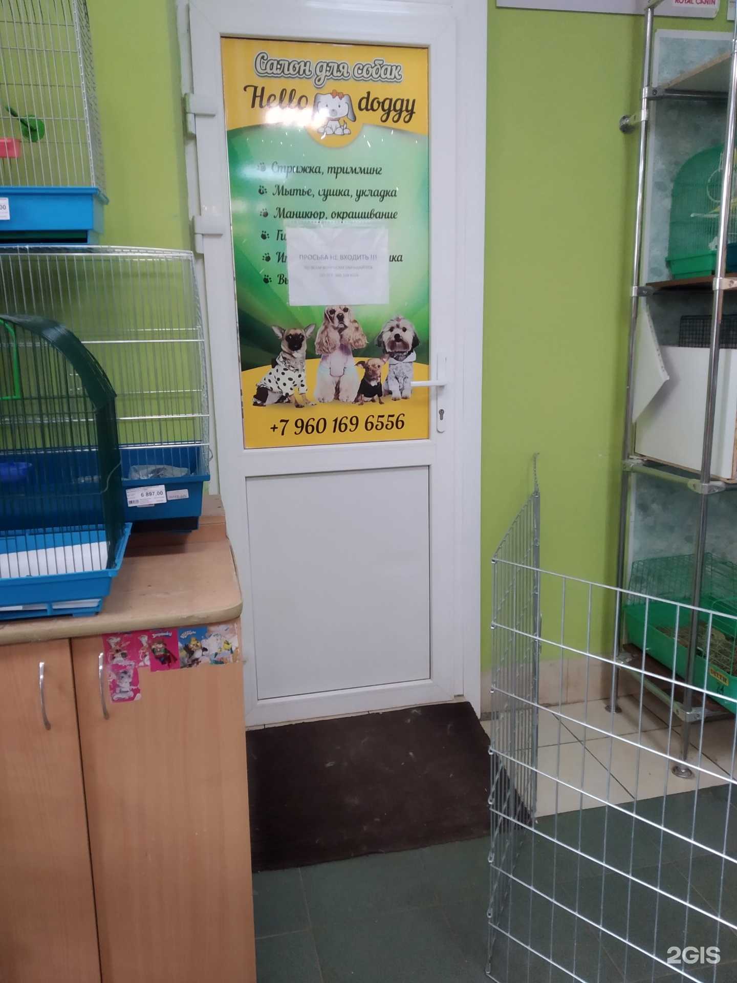 Отзывы на компанию Hello doggy в г. Дзержинск c фото