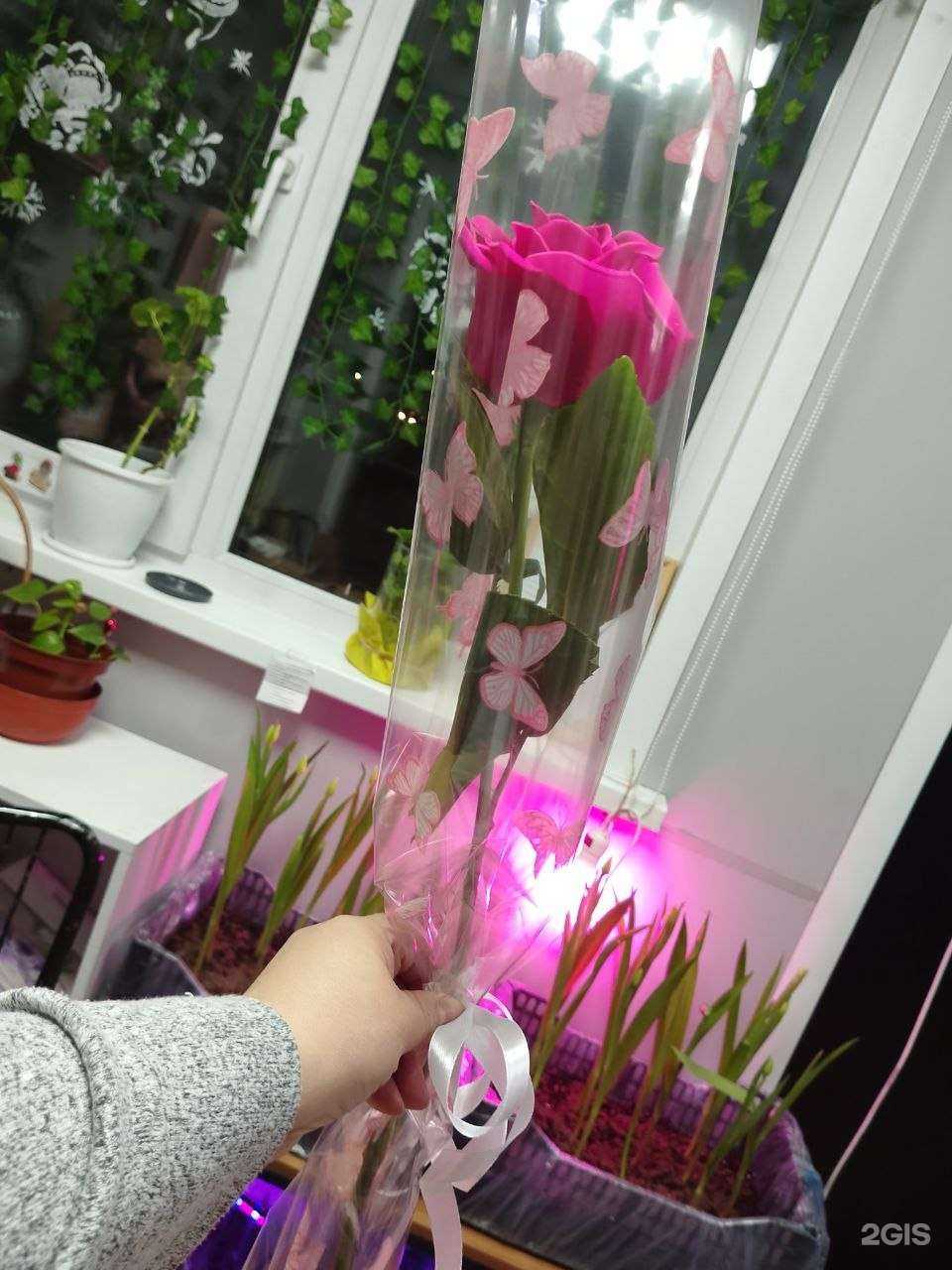 Отзывы на компанию Цветы с любовью в г. Кызыл c фото