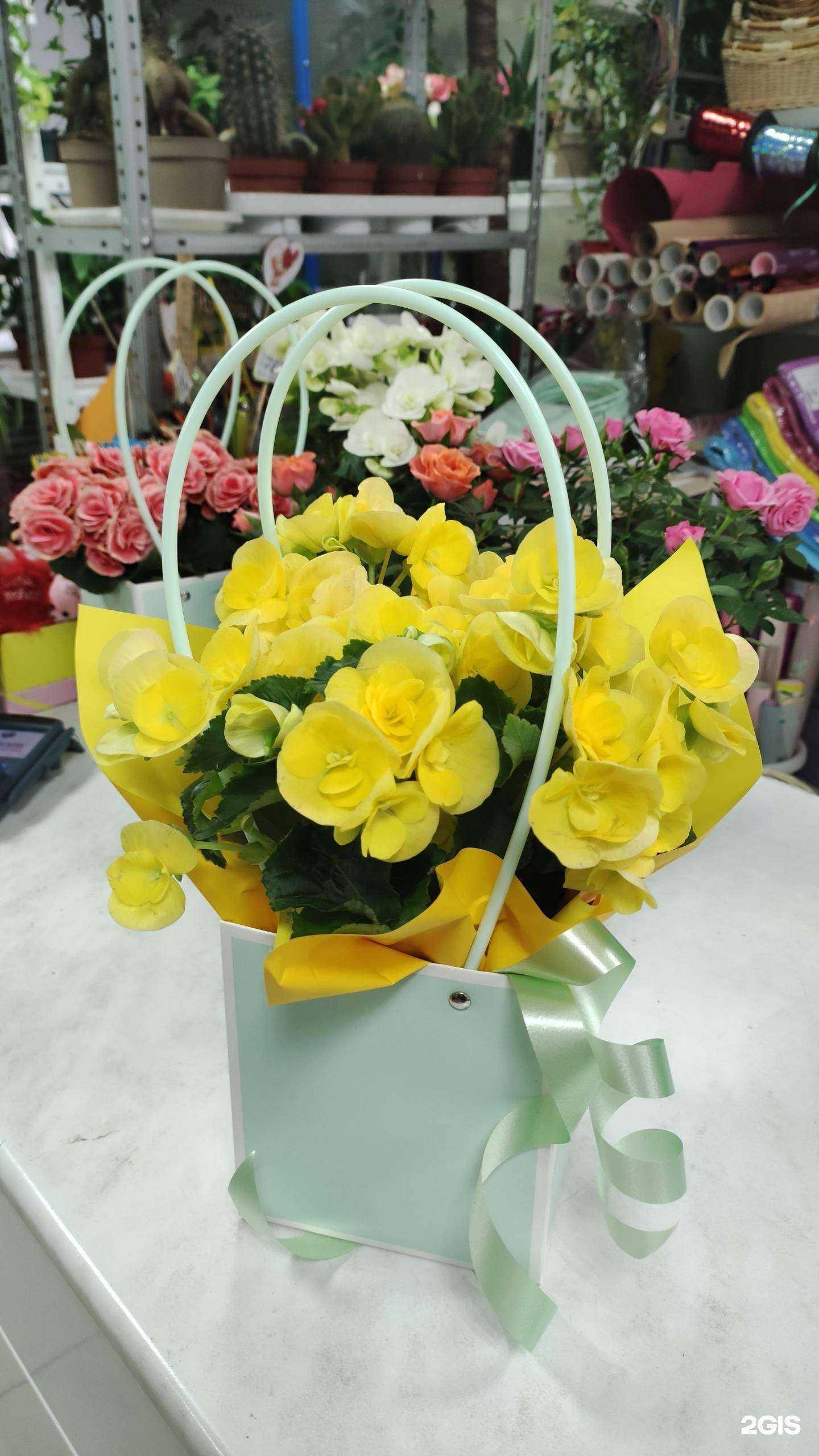 Отзывы на компанию Цветик-семицветик в г. Фурманов c фото