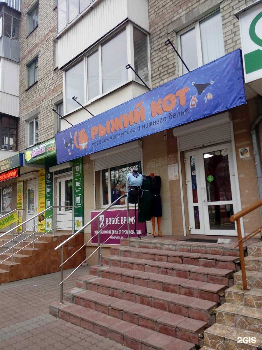 Отзывы на компанию Рыжий Кот в Брянске c фото