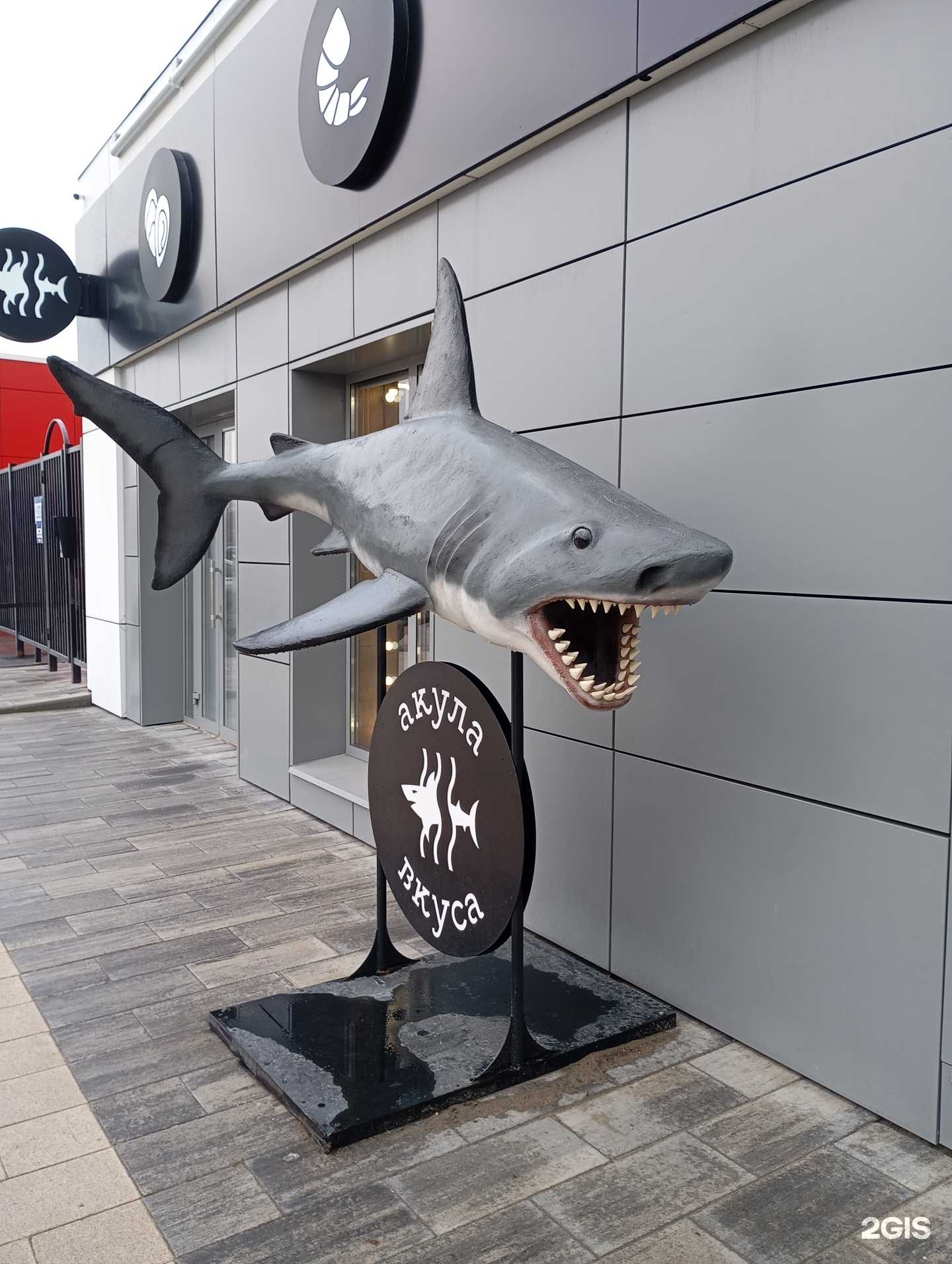 Отзывы на компанию Акула Вкуса в г. Пенза c фото