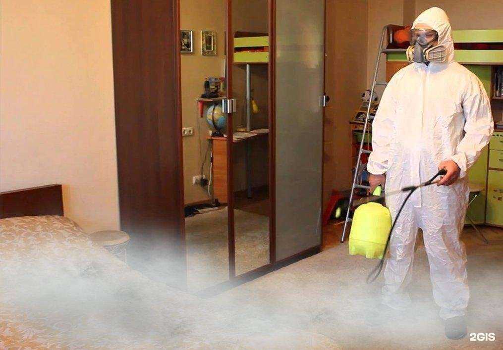 Отзывы на компанию ДезПрофи в г. Воронеж c фото