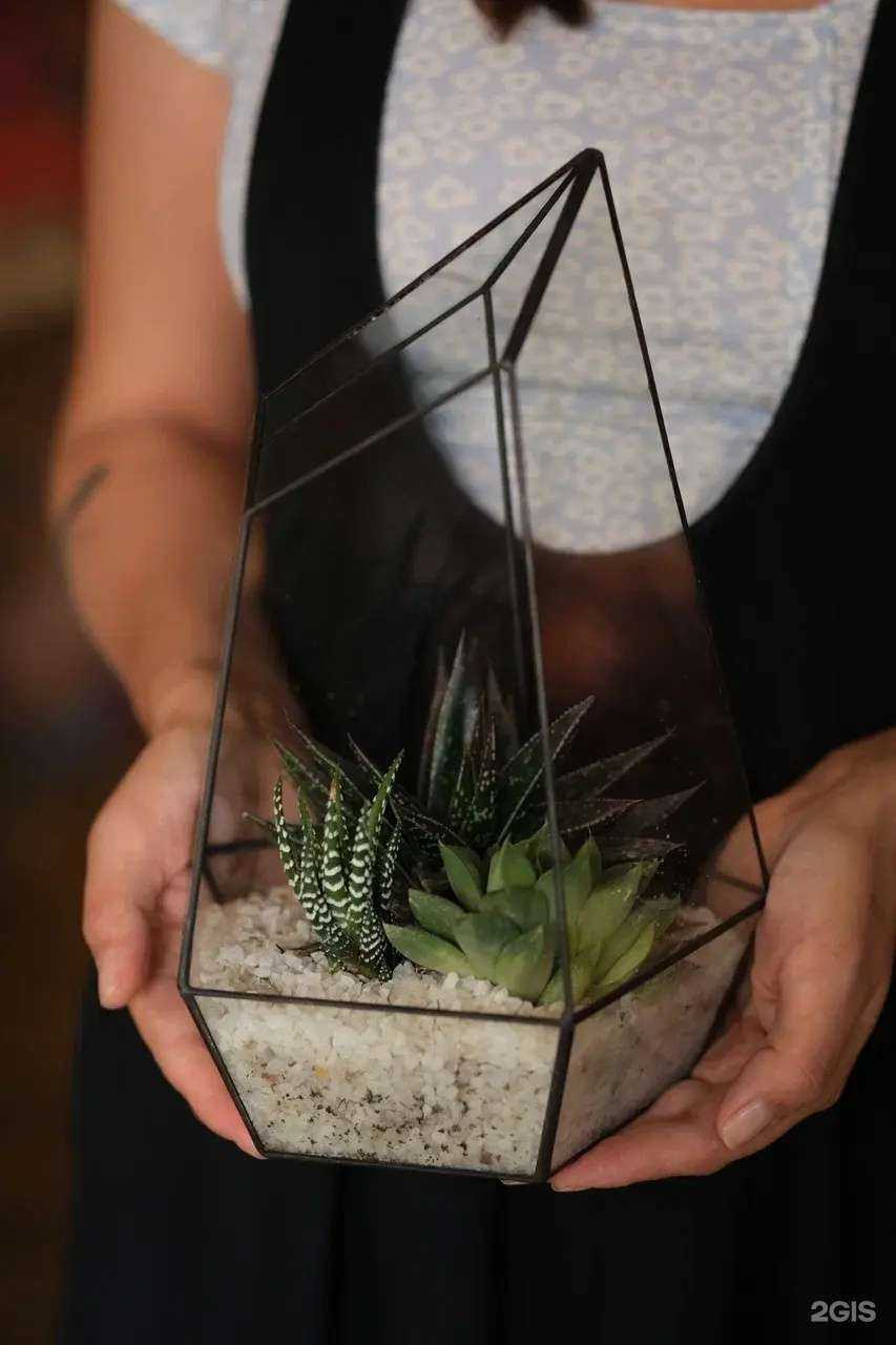 Отзывы на компанию Magnolia в Краснодаре c фото