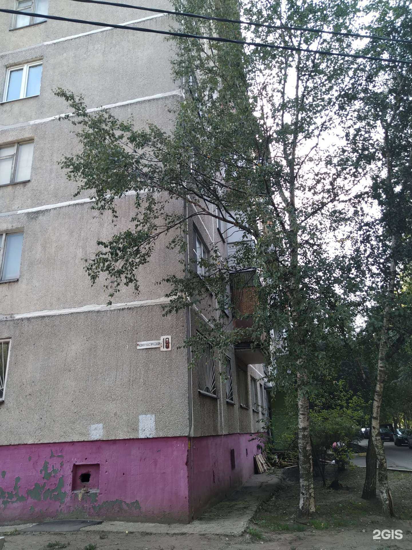 Отзывы на компанию Флора Мия в Раменском c фото - фотография 2 из 2