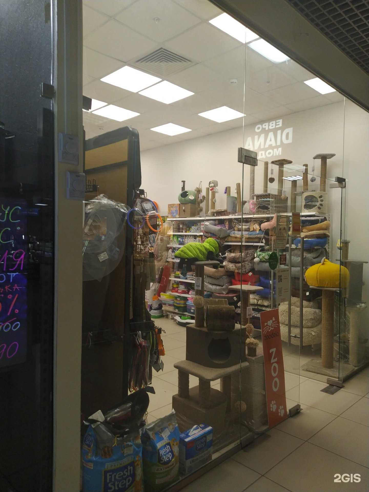 Отзывы на компанию Zoodelo в Волгограде c фото