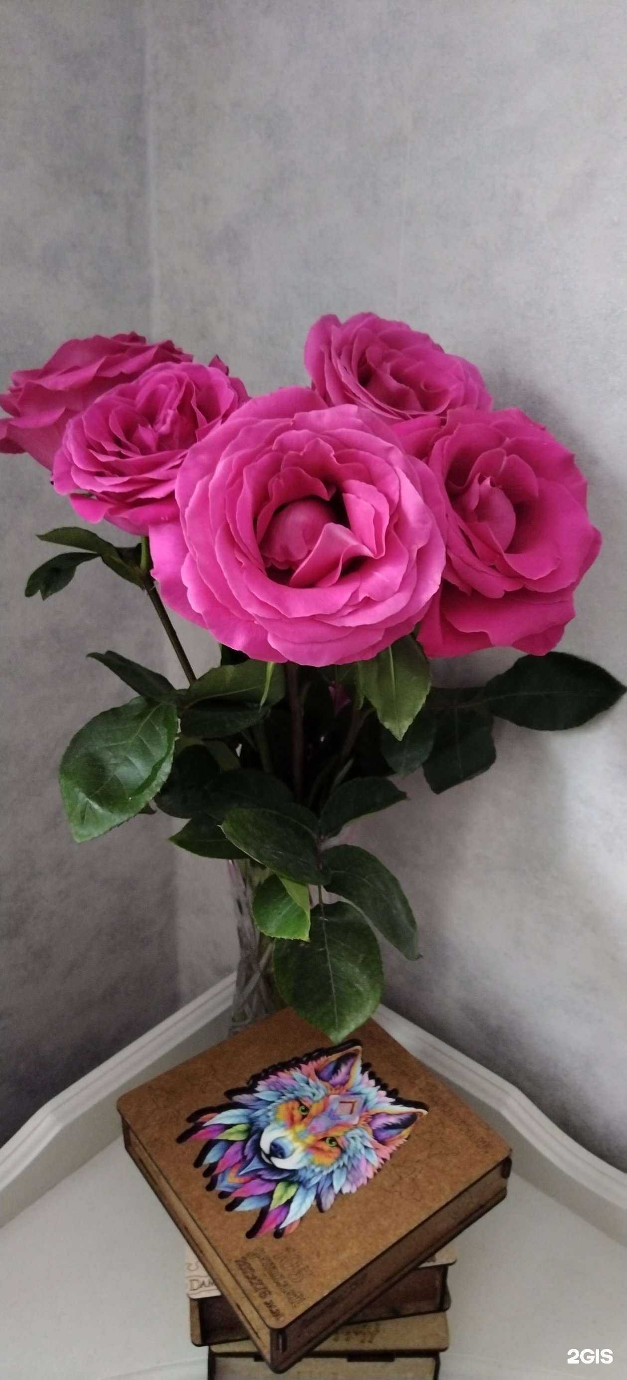 Отзывы на компанию Анна в Новосибирске c фото