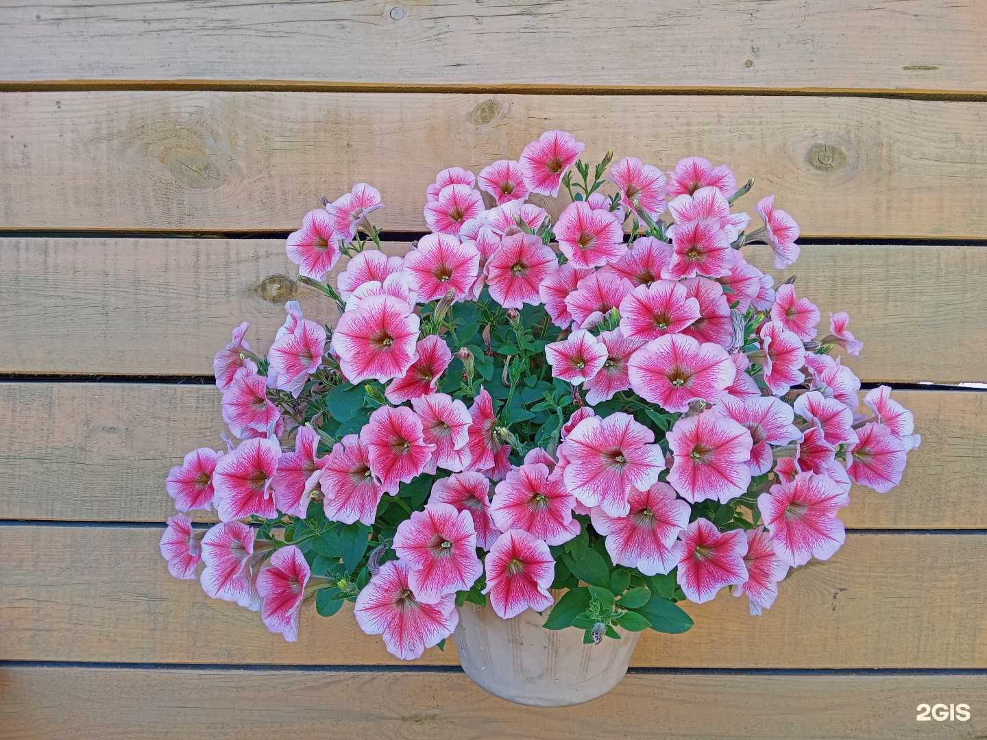 Отзывы на компанию Моя Усадьба в г. Пермь c фото