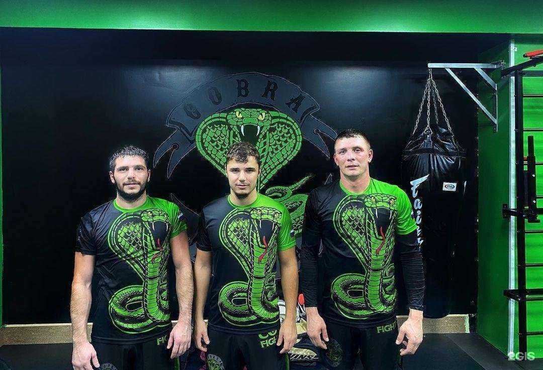 Отзывы на компанию Cobra в Владивостоке c фото