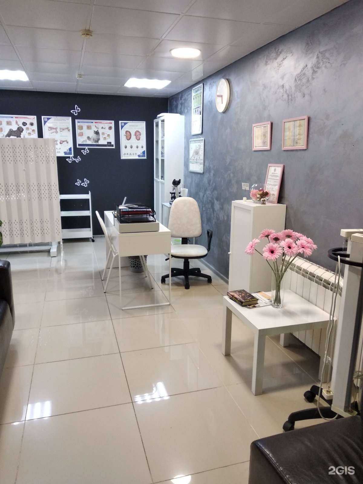 Отзывы на компанию VetСовет в г. Самара c фото