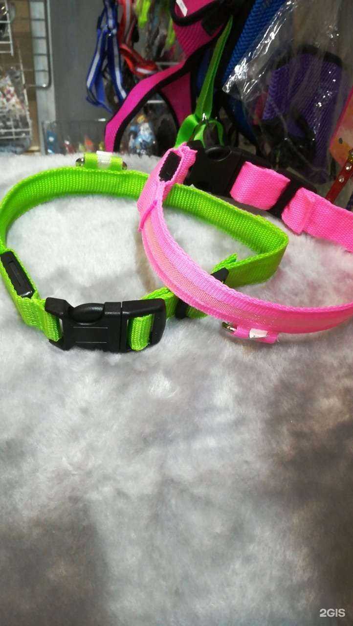 Отзывы на компанию Рыжий кот в Хабаровске c фото