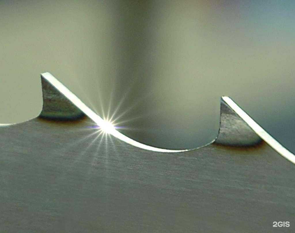 Отзывы на компанию Мастер леса в г. Вологда c фото