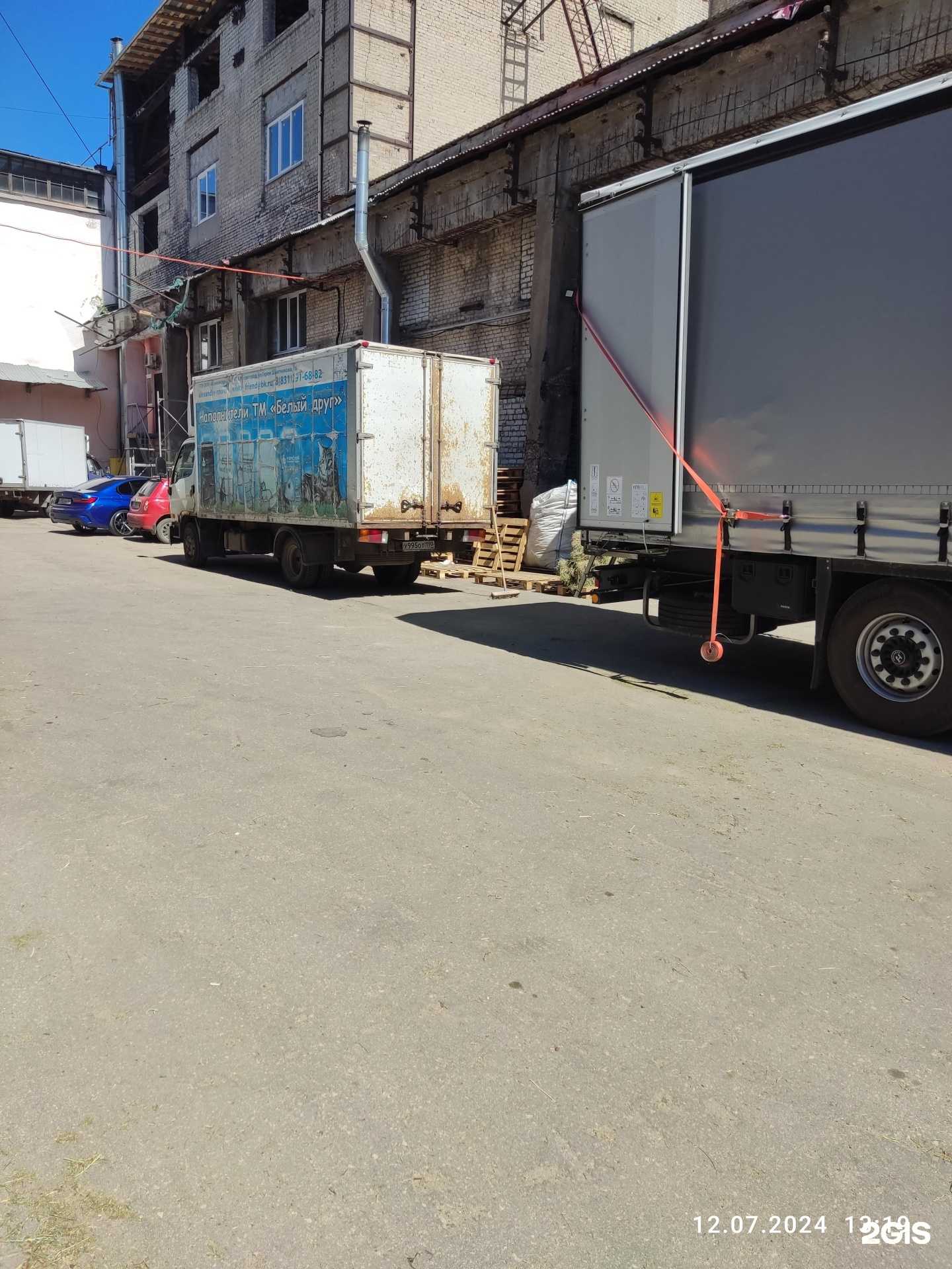 Отзывы на компанию Белый друг в Нижнем Новгороде c фото