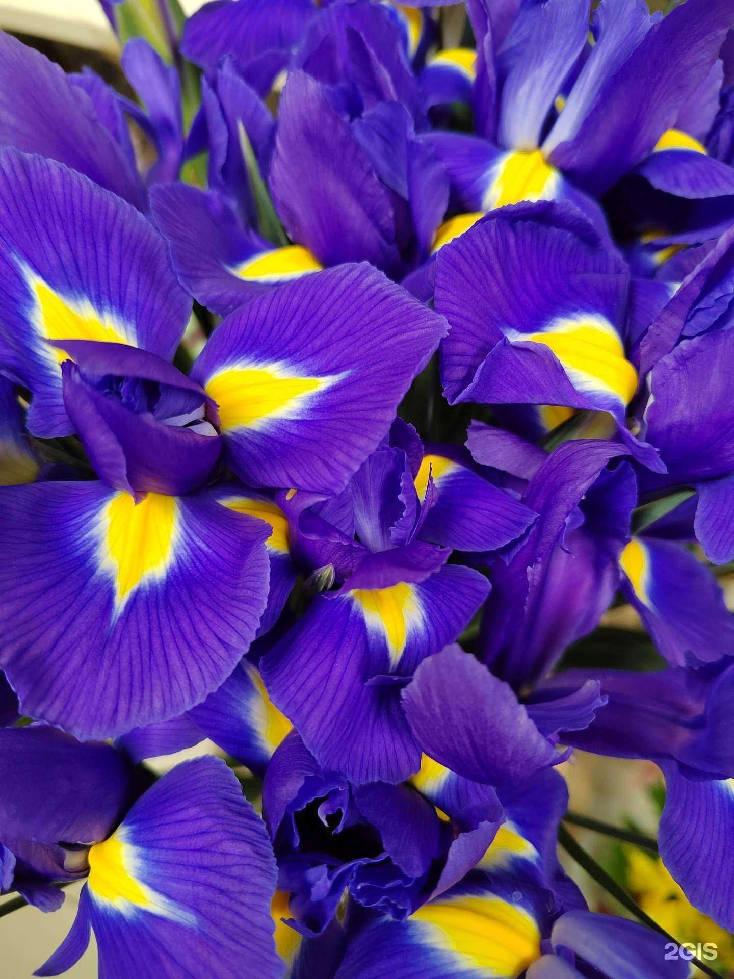 Отзывы на компанию ЦветБукет в Ставрополе c фото