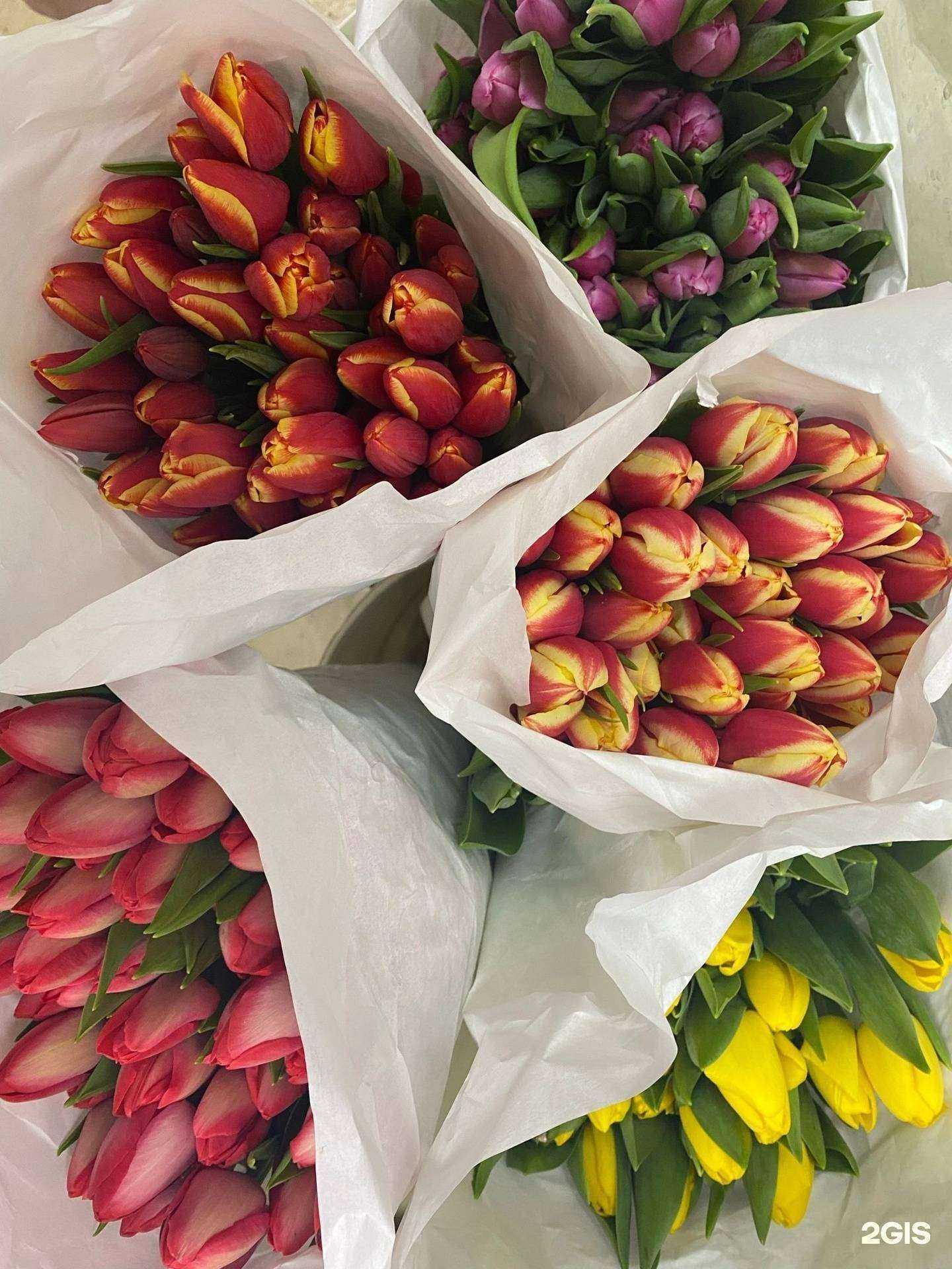 Отзывы на компанию Салон цветов и удобрений в Нижнем Новгороде c фото