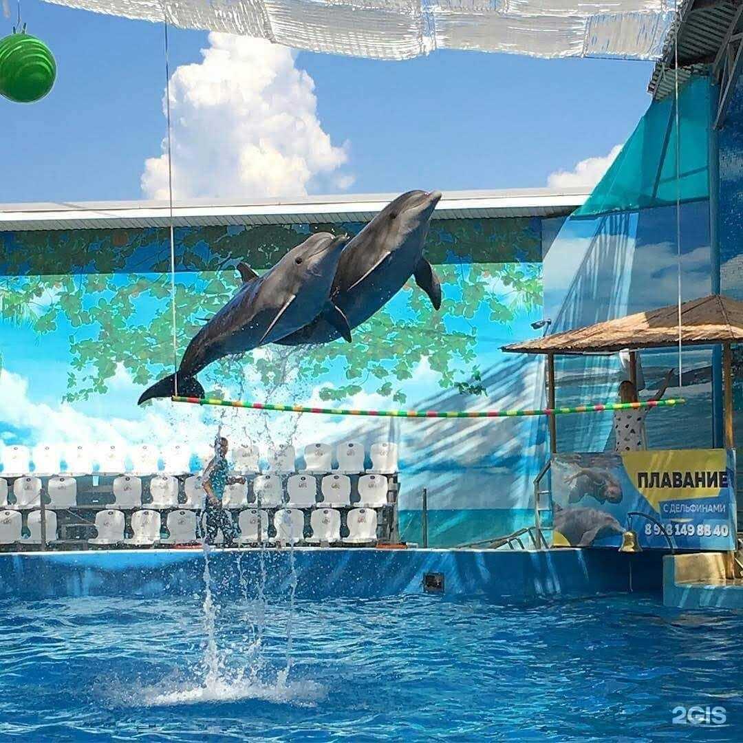 Отзывы на компанию Павлин в Владимире c фото