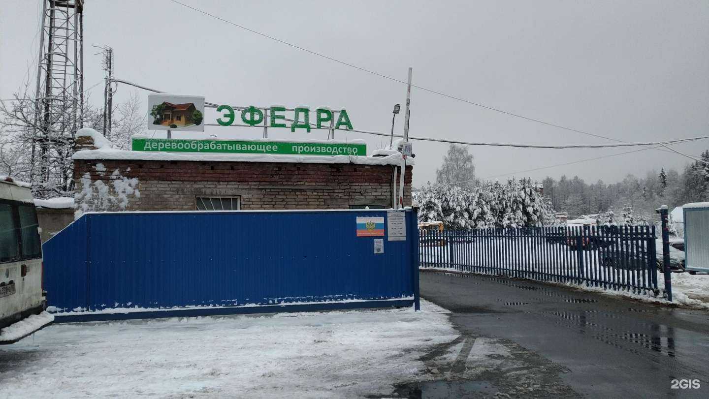 Отзывы на компанию Эфедра в Куровском c фото