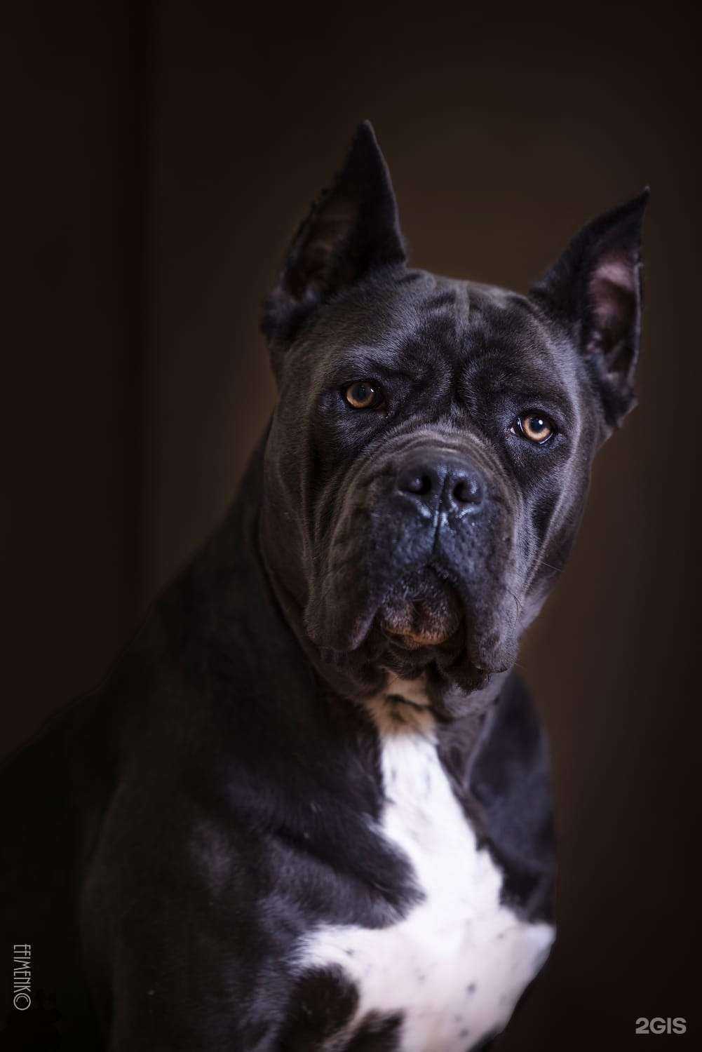 Отзывы на компанию Джумбо в г. Казань c фото