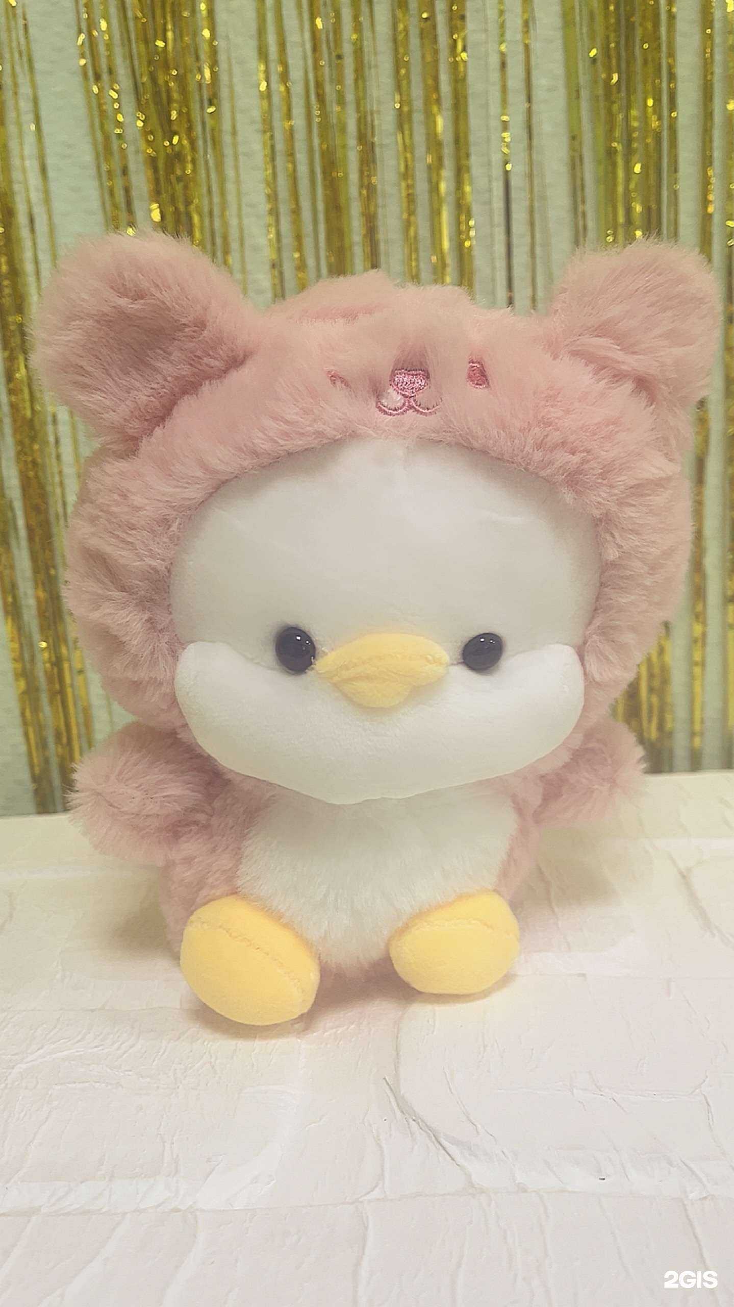 Отзывы на компанию Сюрприз в г. Курган c фото