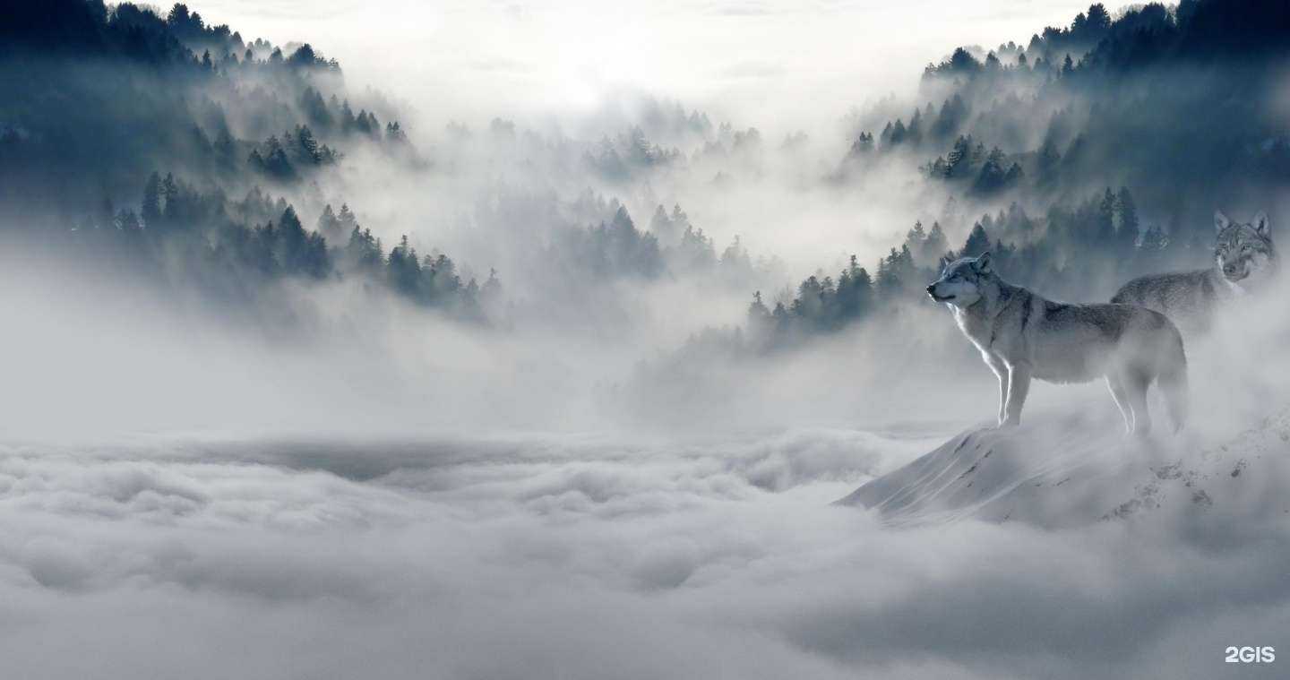 Отзывы на компанию Машины Сибири в г. Тюмень c фото