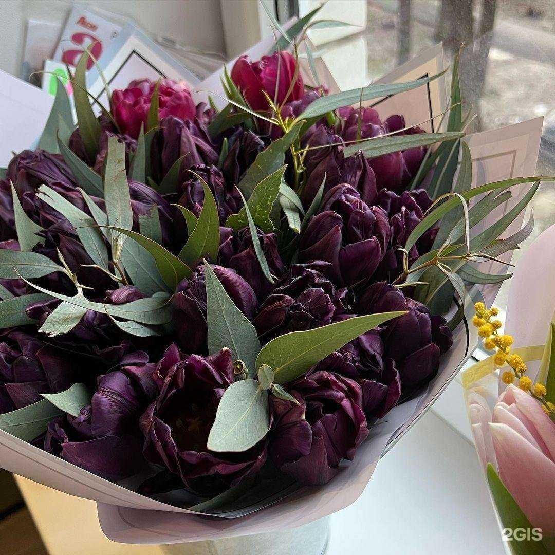 Отзывы на компанию Территория красоты в Краснодаре c фото