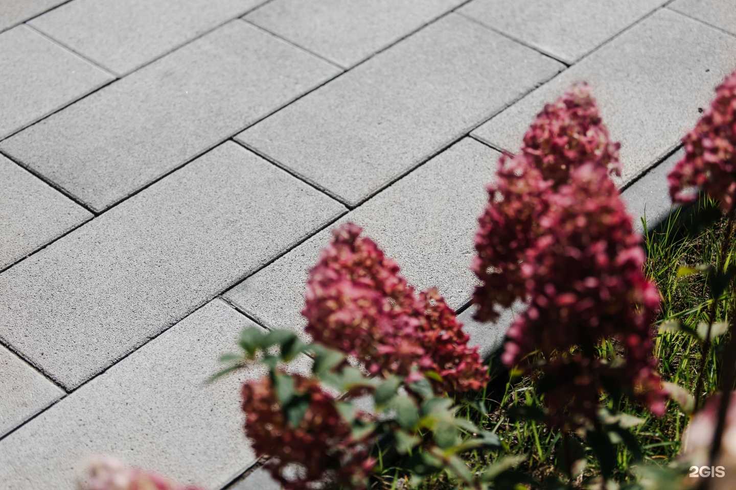 Отзывы на компанию Алом в Барнауле c фото