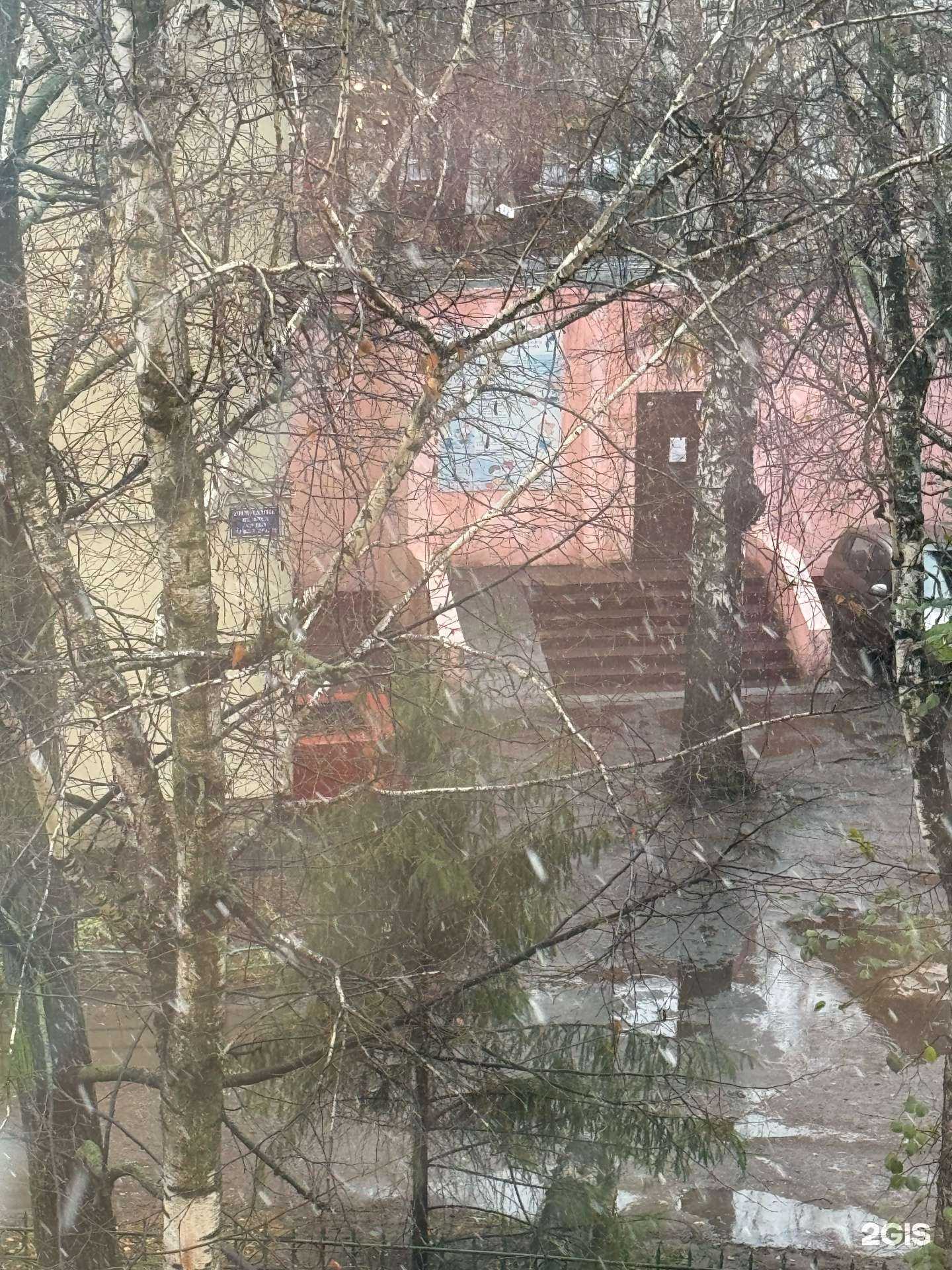 Отзывы на компанию Центр развития творчества детей и юношества в Тамбове c фото