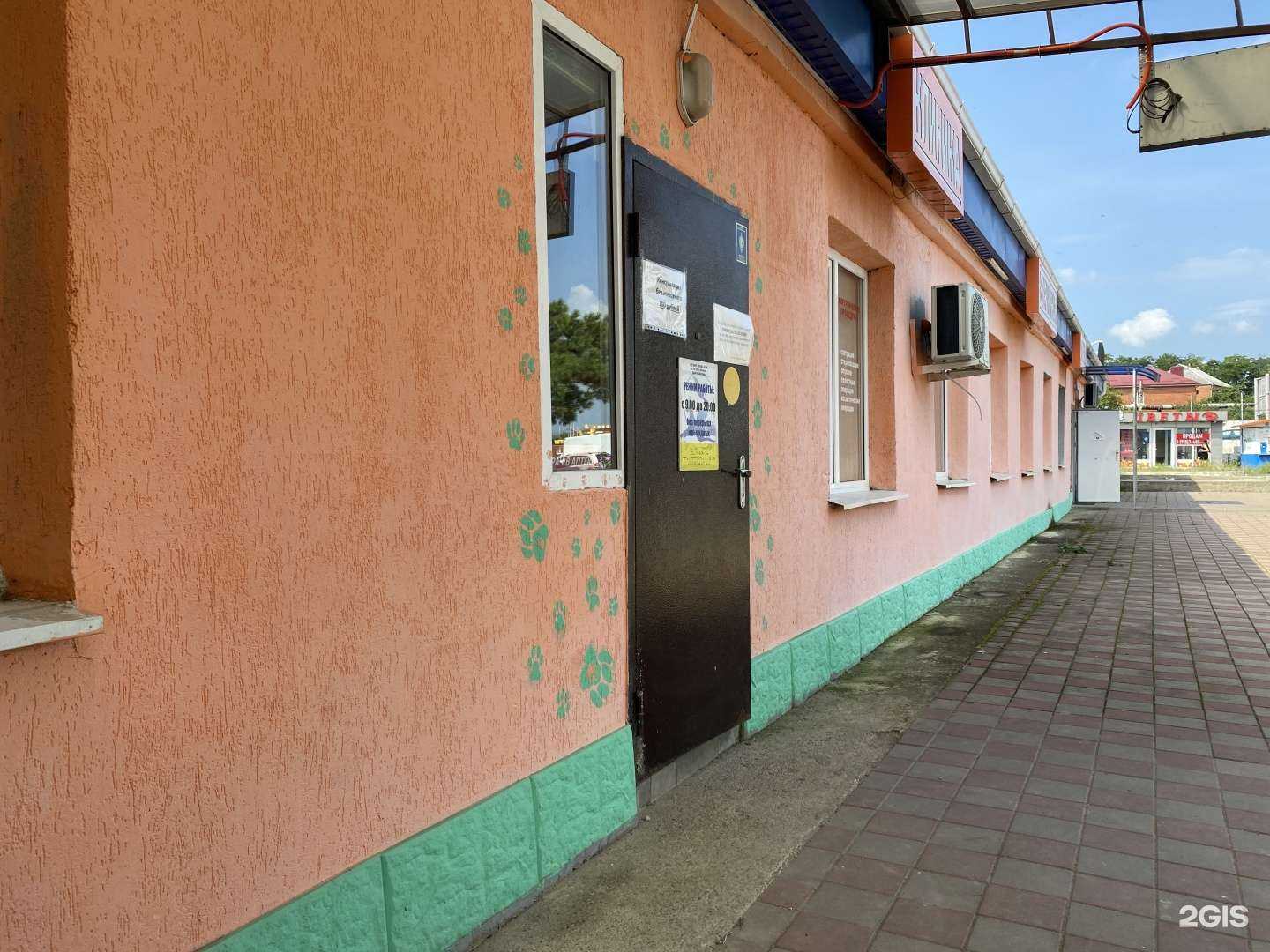 Отзывы на компанию ПульсВет в Новороссийске c фото - фотография 2 из 2