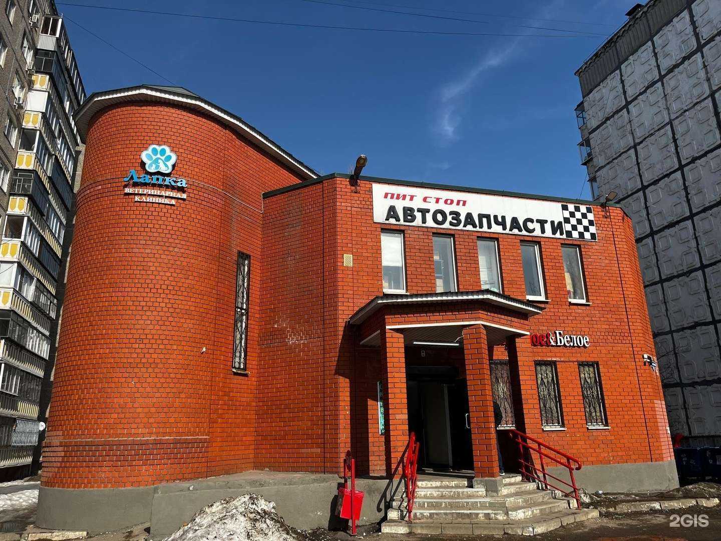 Отзывы на компанию Лапка в Липецке c фото