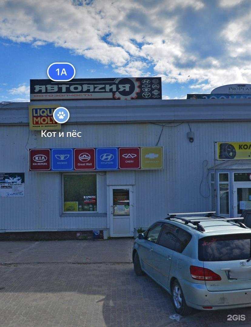 Отзывы на компанию АвтоАзия в Северодвинске c фото