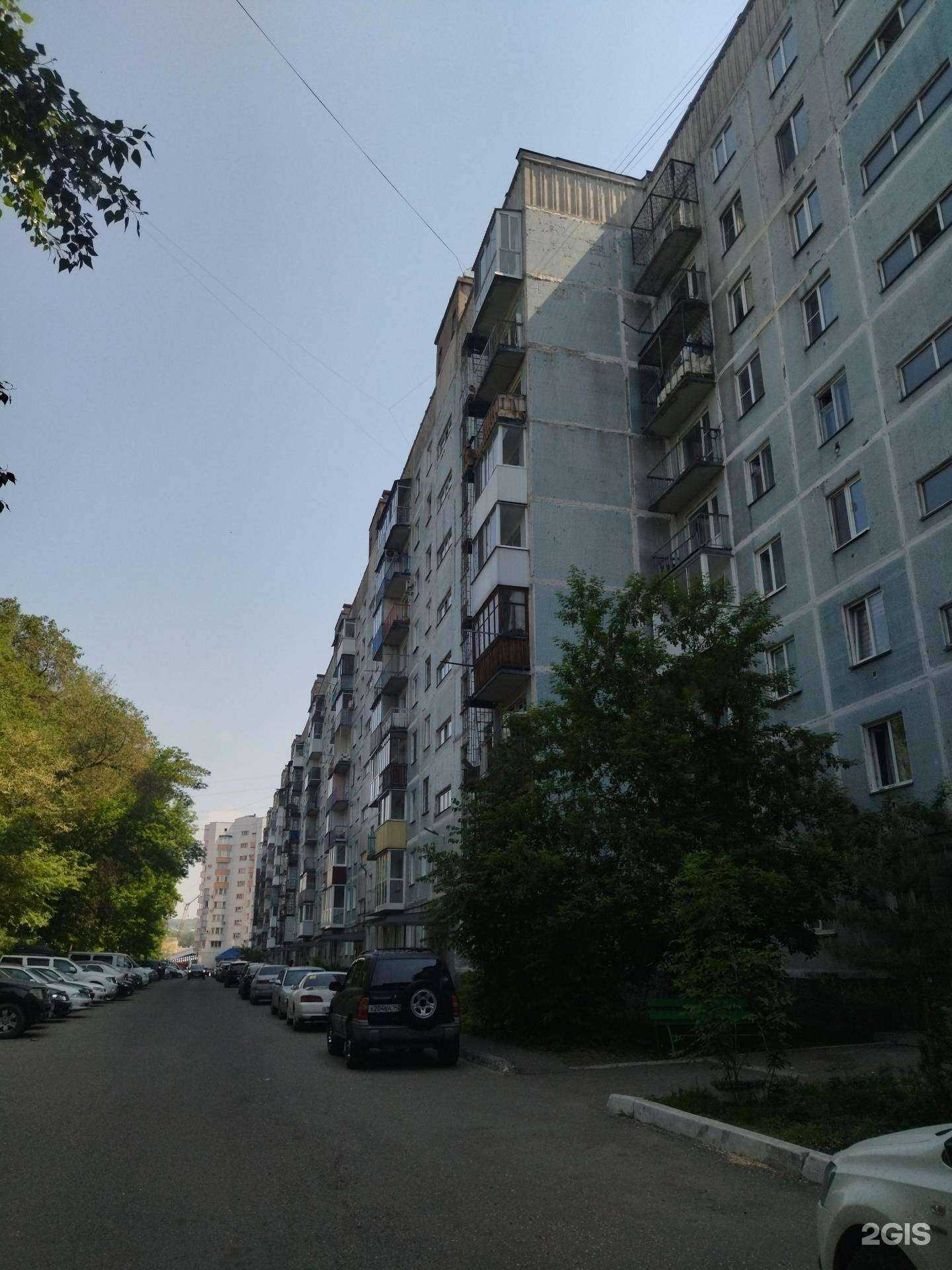 Отзывы на компанию Новокузнецкая городская станция по борьбе с болезнями животных в Новокузнецке c фото - фотография 2 из 2