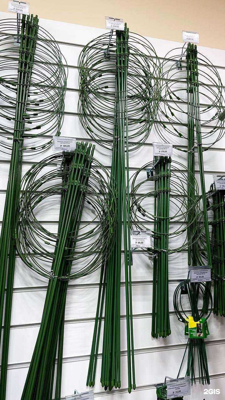 Отзывы на компанию Велеса в Саратове c фото