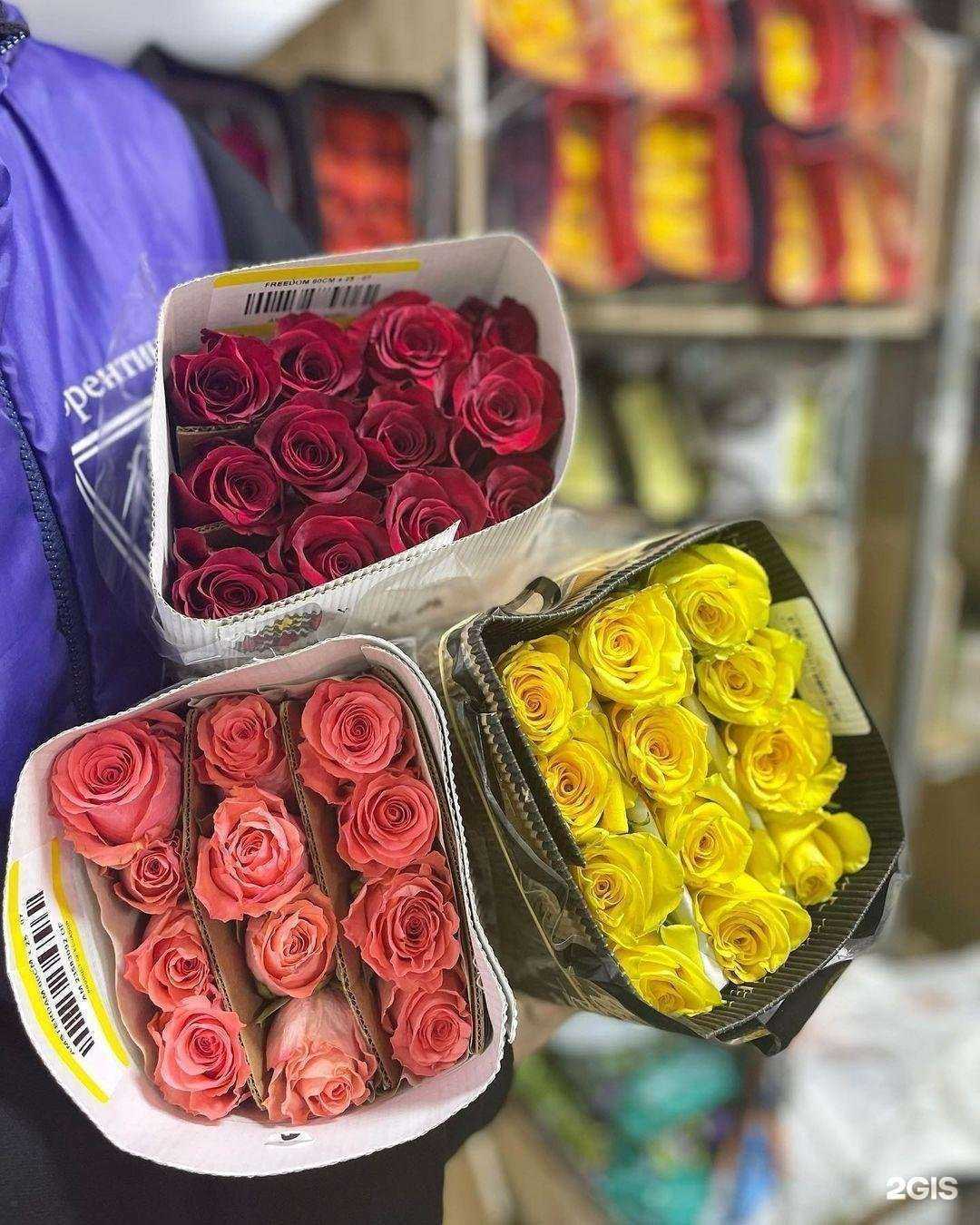 Отзывы на компанию Флорентина в Нижнекамске c фото