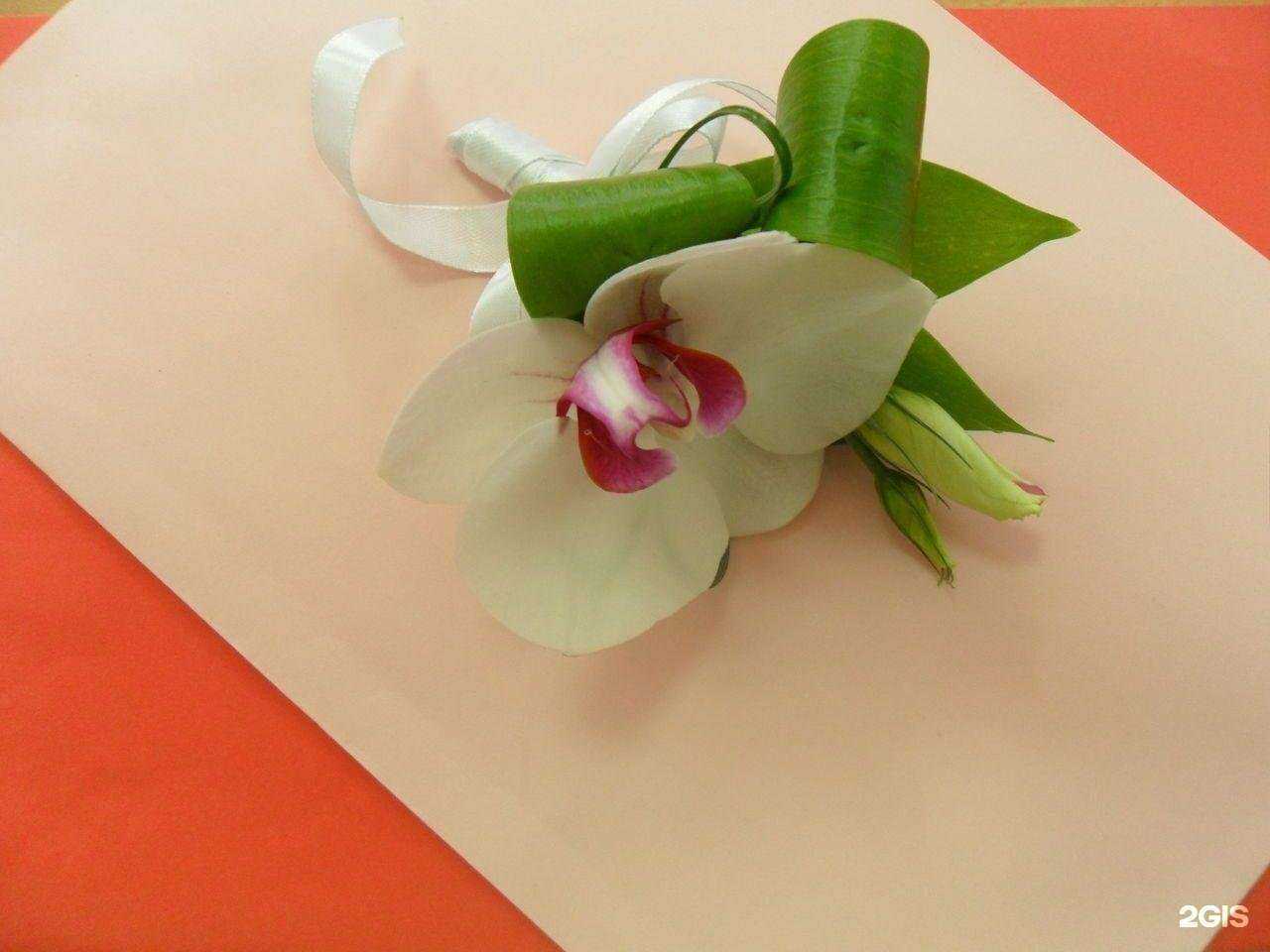 Отзывы на компанию Розовый дождь в г. Аксай c фото