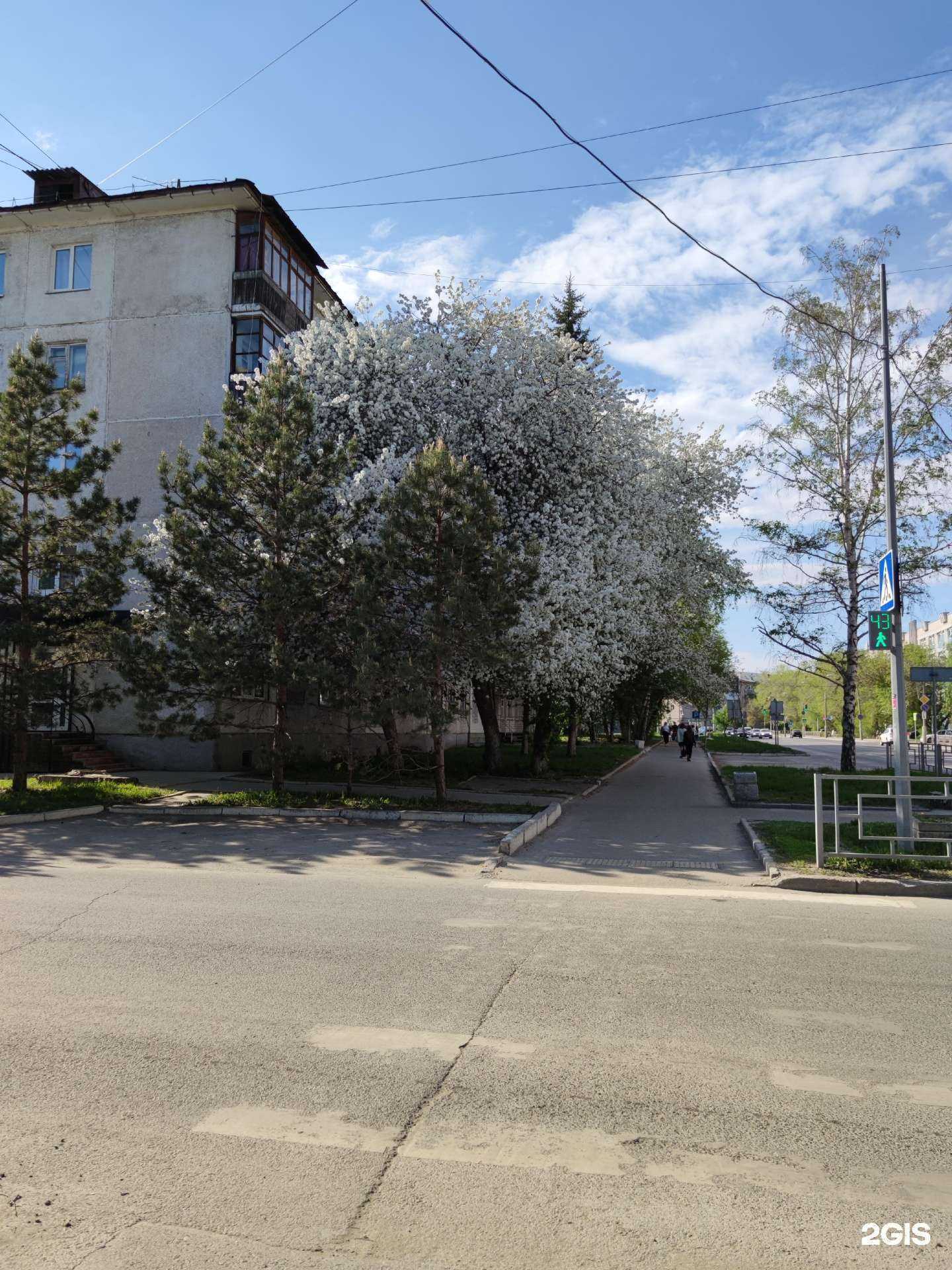 Отзывы на компанию Аварком страховой в Барнауле c фото - фотография 2 из 2