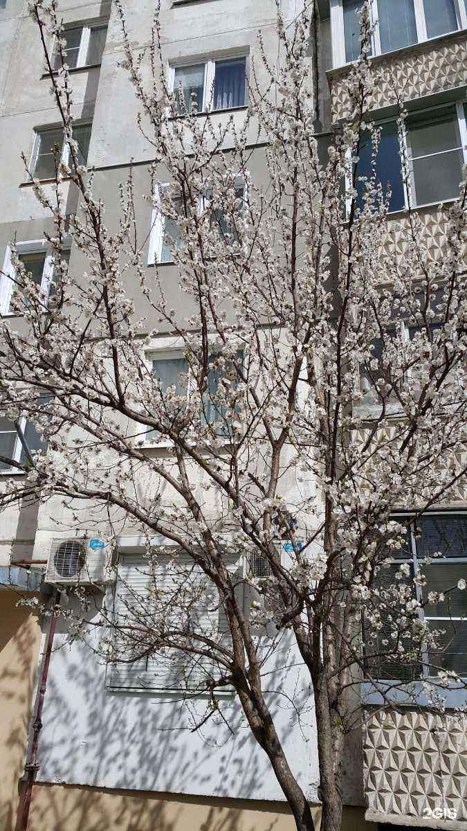 Отзывы на компанию ПрофиКолор в Тамбове c фото - фотография 2 из 2