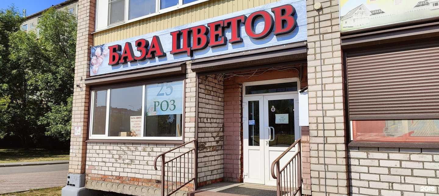 Отзывы на компанию База цветов в Череповце c фото