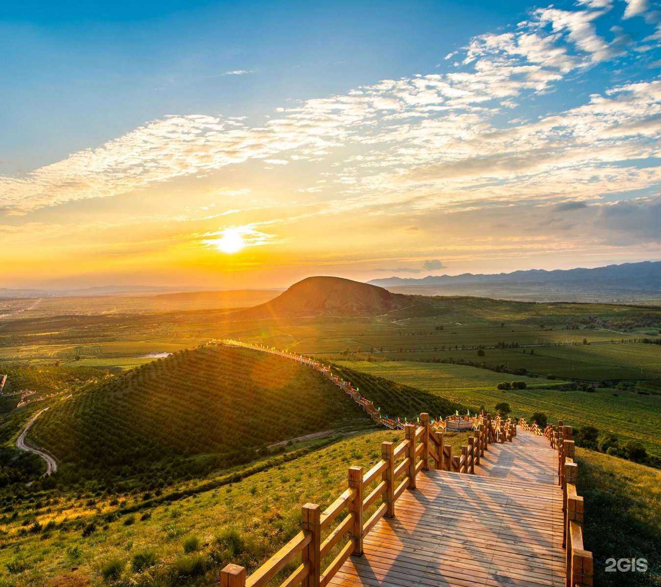 Отзывы на компанию Mishki Bar в Ногинске c фото