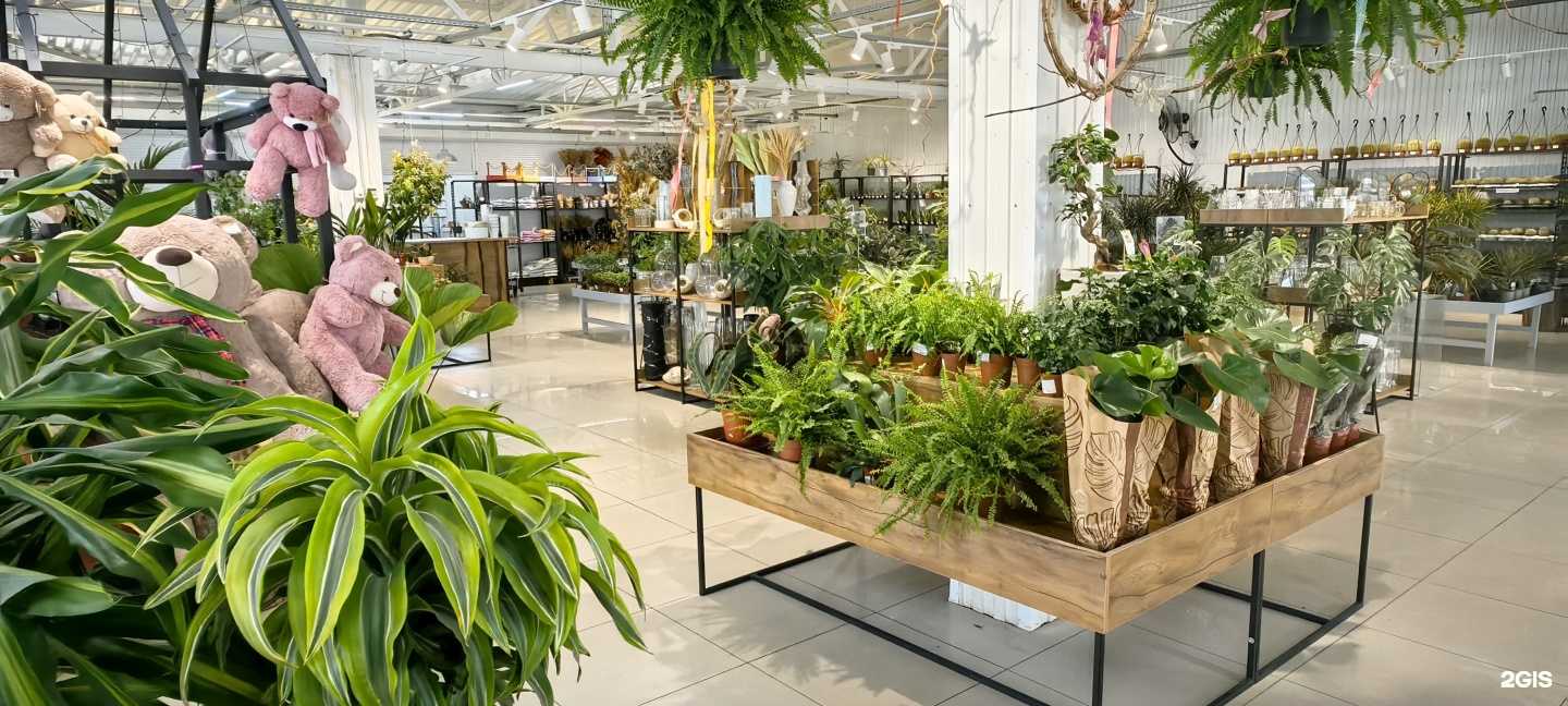 Отзывы на компанию Букет в Оренбурге c фото