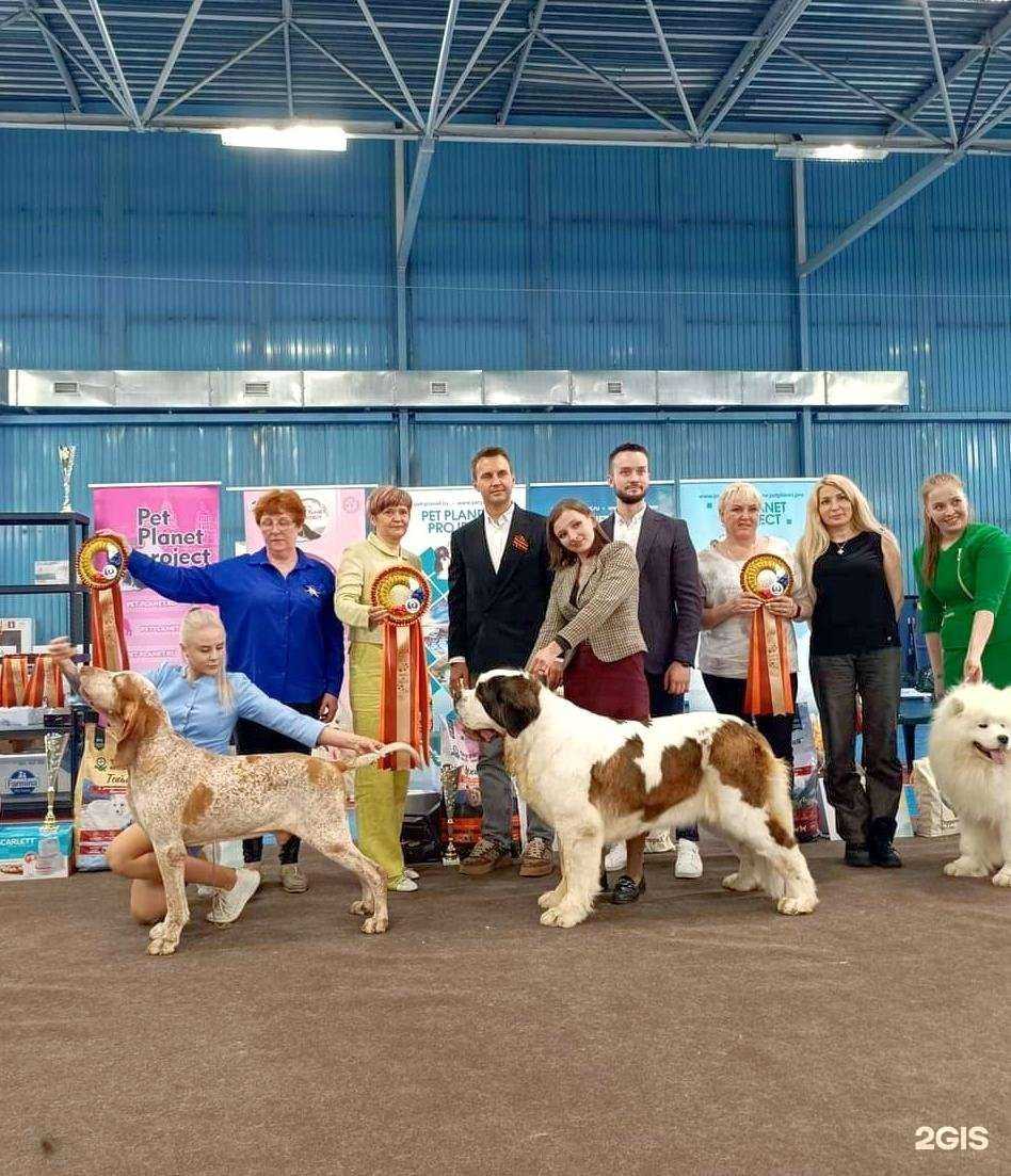 Отзывы на компанию Мистер Пёс в г. Чита c фото