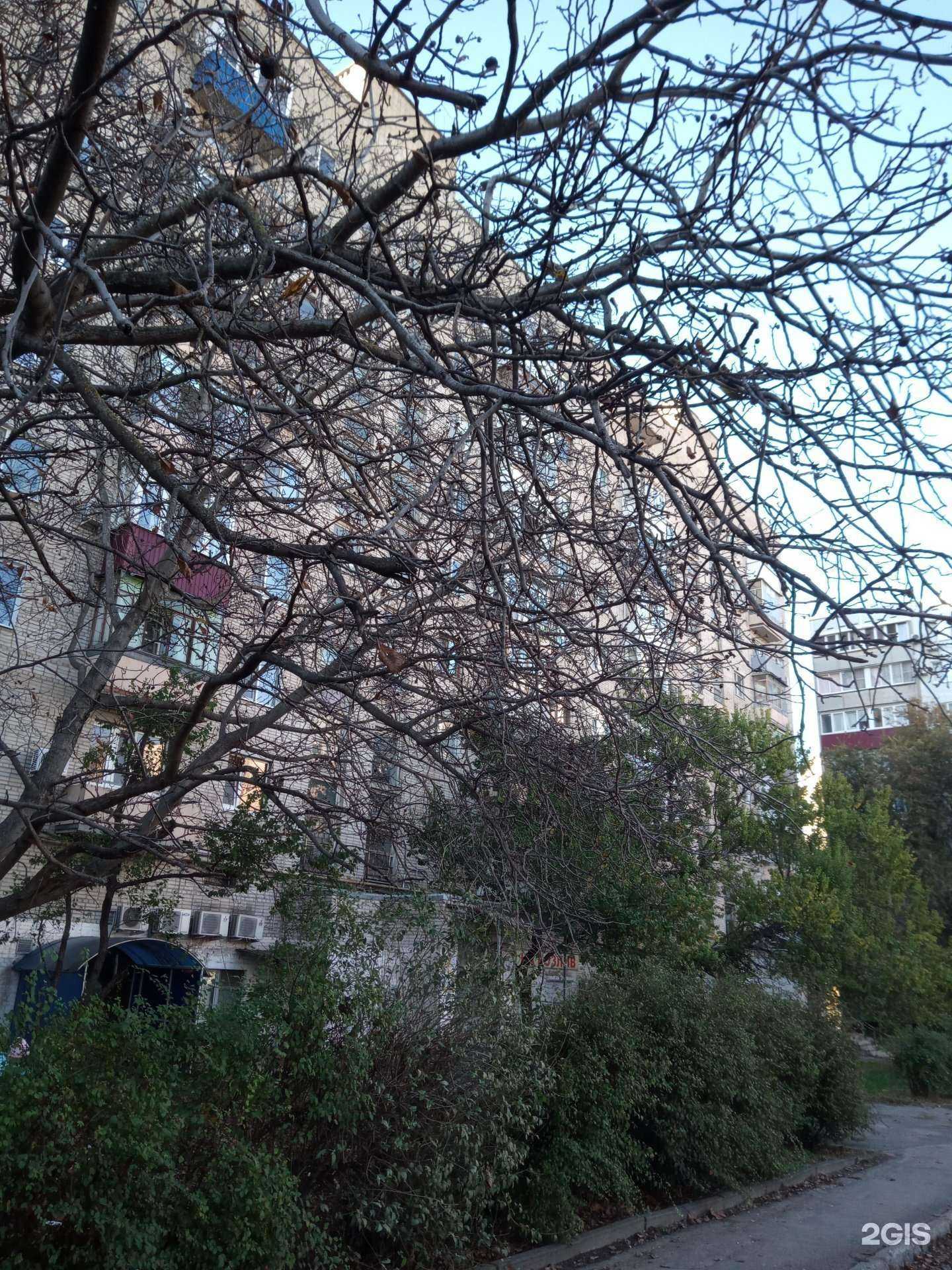 Отзывы на компанию Центр бухгалтерских услуг в Ростове-на-Дону c фото - фотография 2 из 2