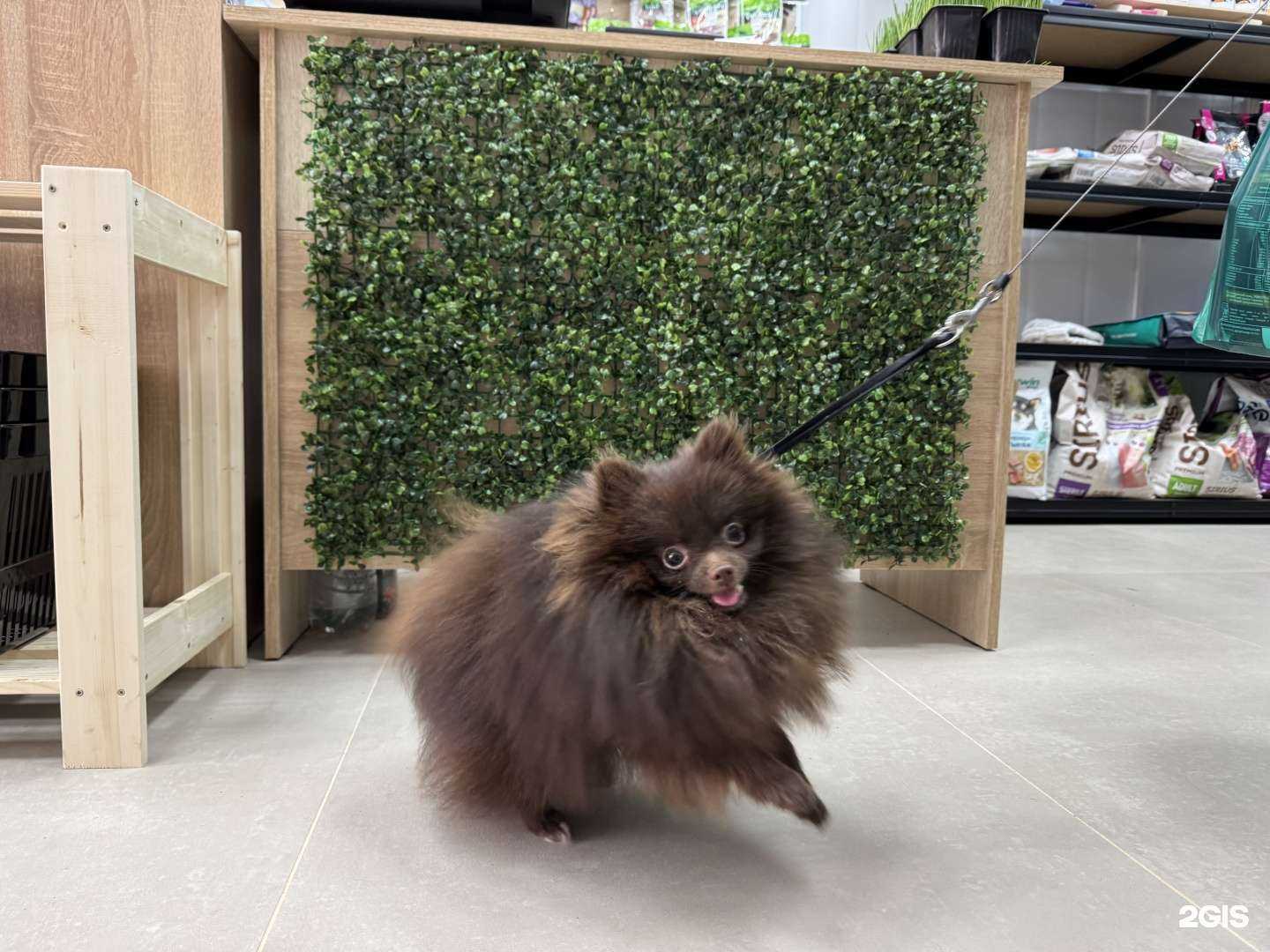 Отзывы на компанию ЗооДрузья в г. Волгоград c фото