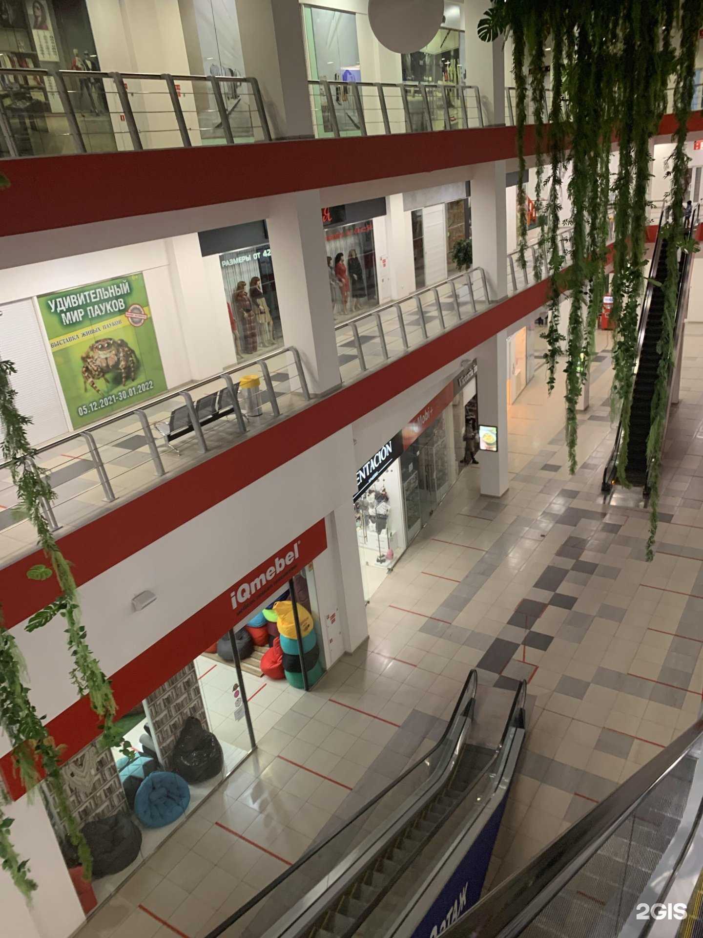 Отзывы на компанию Чеширский Код в Красноярске c фото