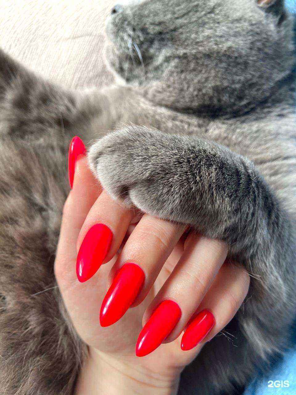 Отзывы на компанию Дом ногтей в Екатеринбурге c фото